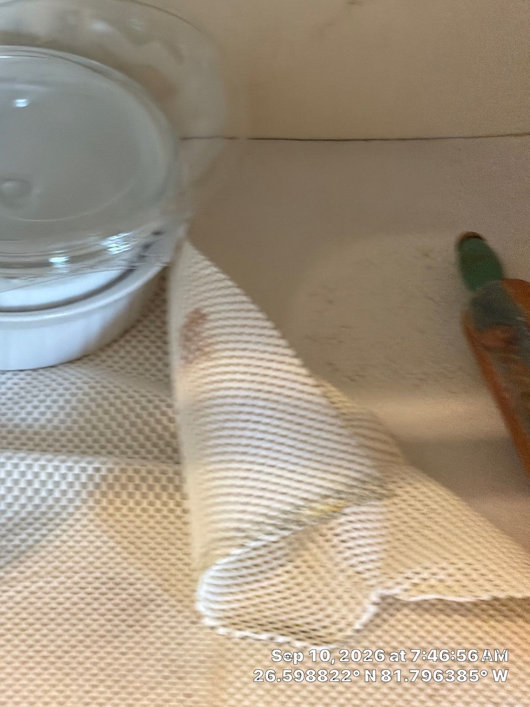 Fort Myers Water Damage Restoration and Professional Mold Remediation by Microscope