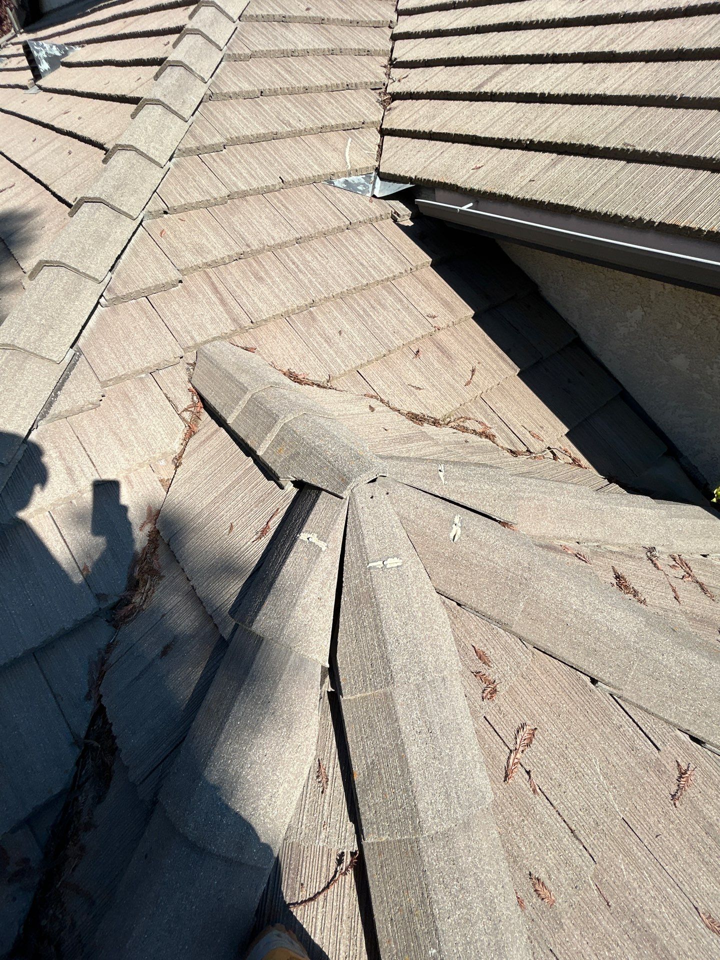 Doug McCauley by CJM Roofing