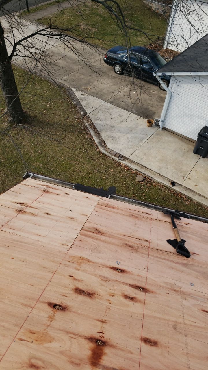 Springfield: CertainTeed Landmark Designer Shingles in Burnt Sienna by RM Banning, Inc.