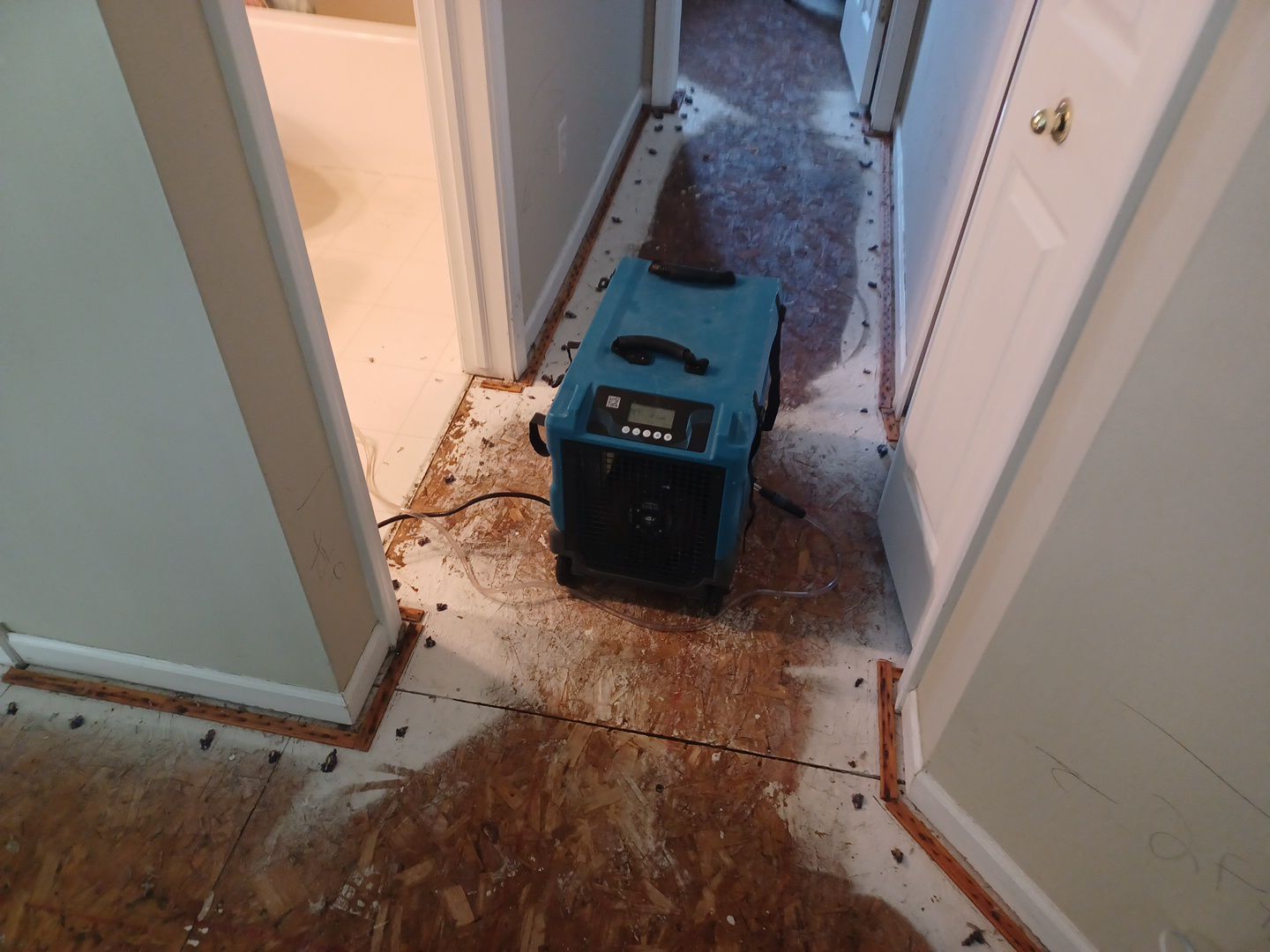 Project in Grand Blanc by EzDry Water Mitigation & Property Restoration