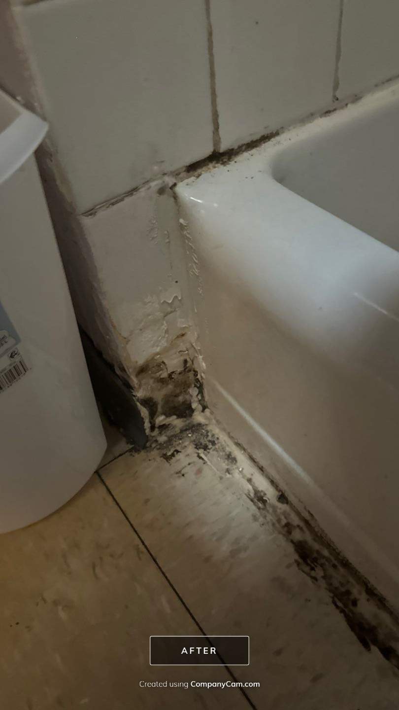 Large Scale Commercial Renovation Project by Acies Renovations