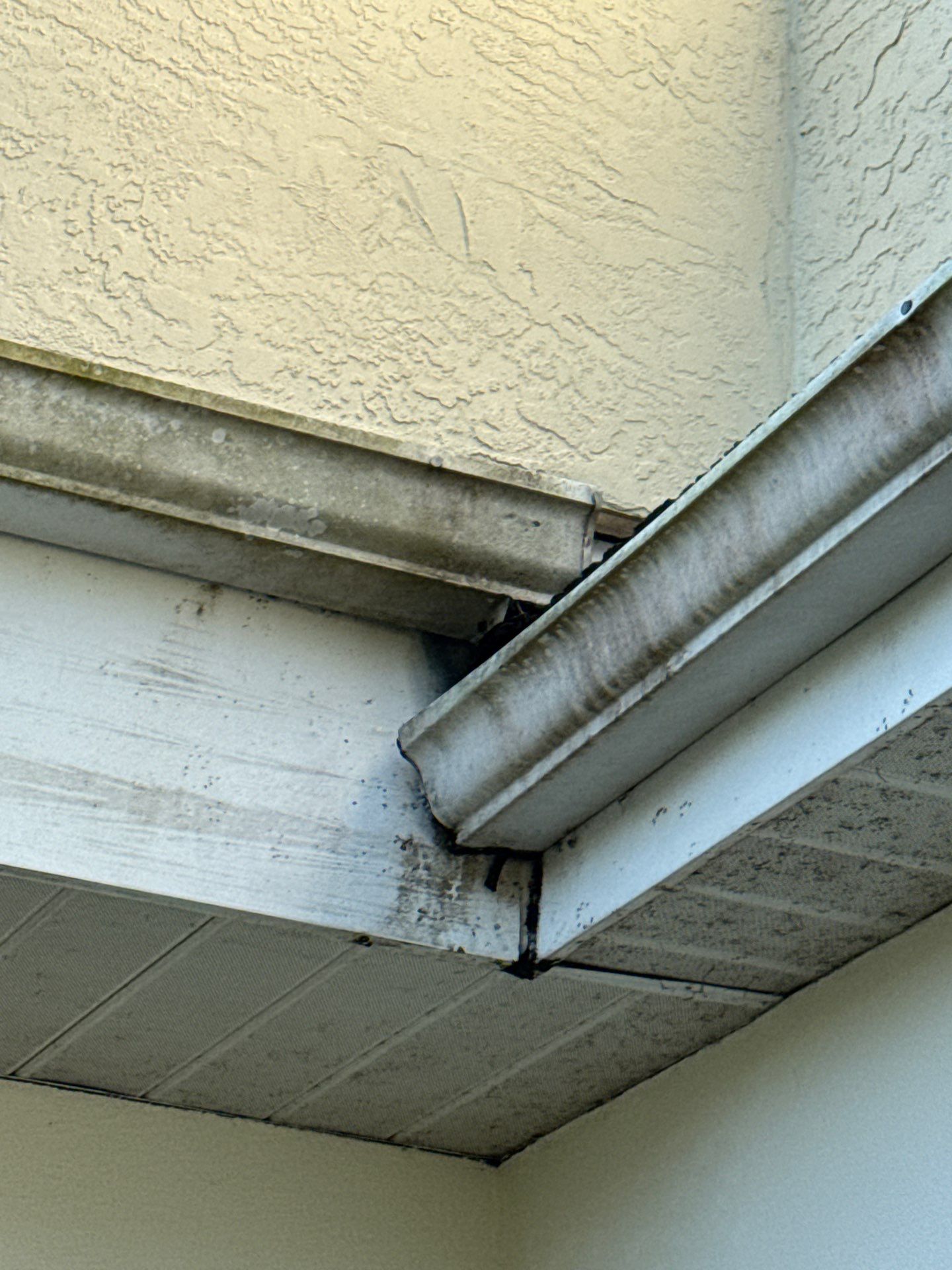 Clean and Repair Gutters in Osprey FL by Gutter Professors