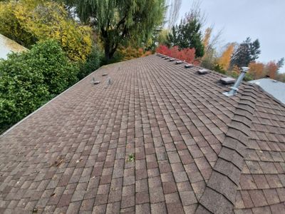 Project in Corvallis