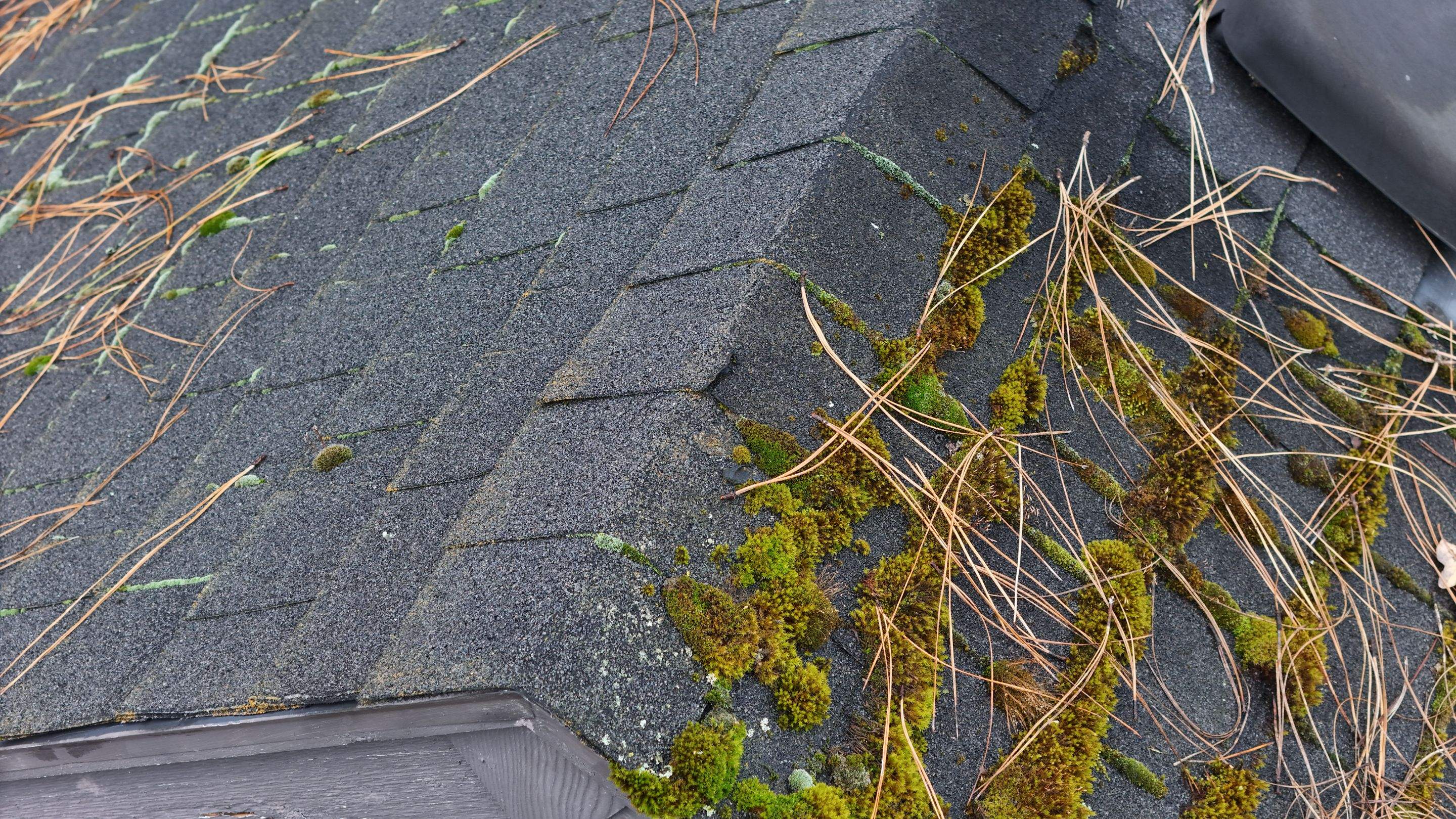 Severe Roof Maintenance in Beaverton by Prodigy Roof Solutions
