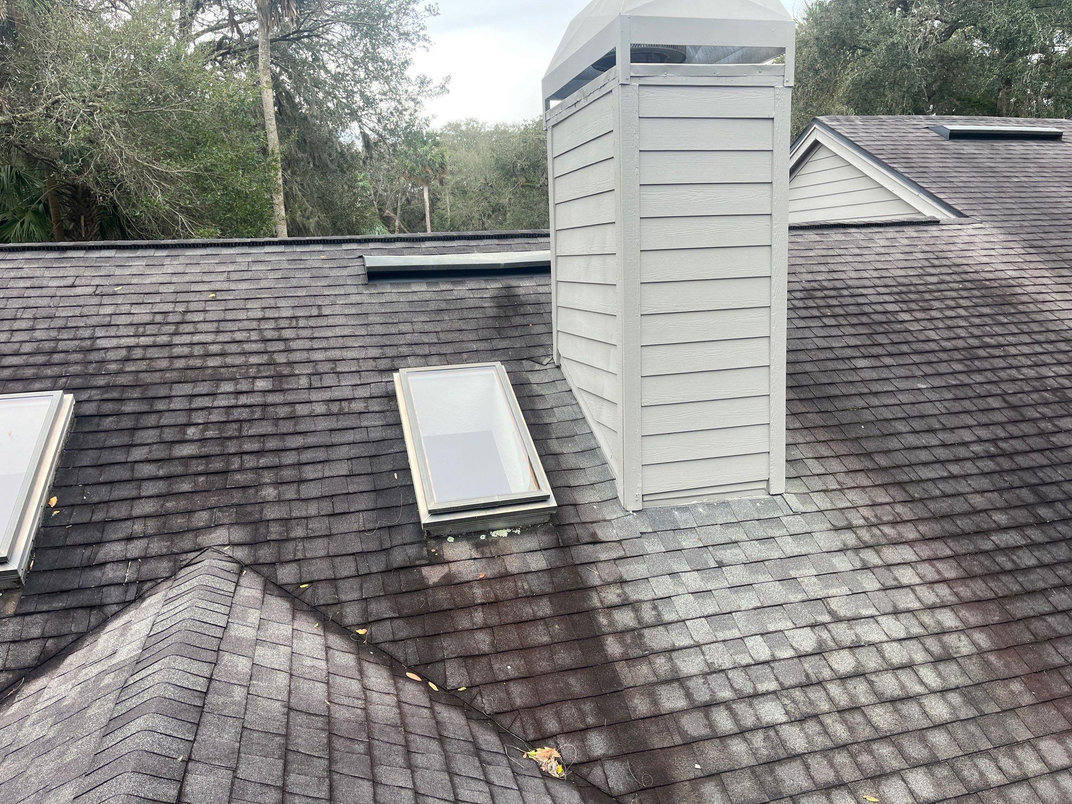 Shingle -> Shingle by Prime Roofing