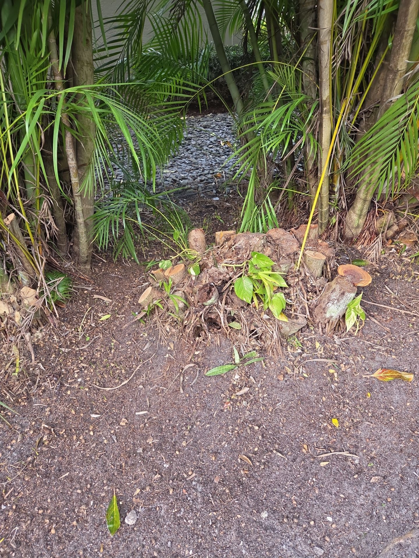 ✨ “Sweep, Spruce & Scoot!” ✨ by Alpha Zeta Enterprises Inc