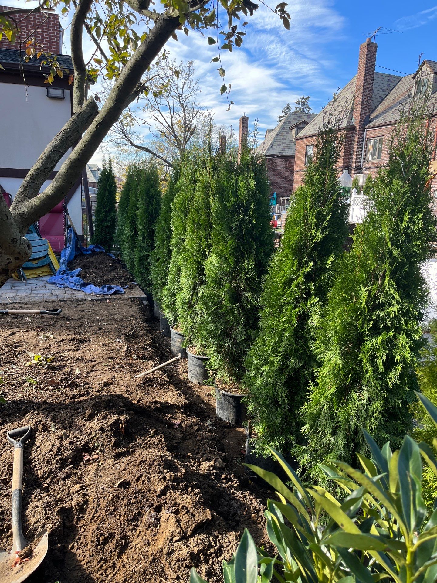 Landscape Design by elegant Lawns