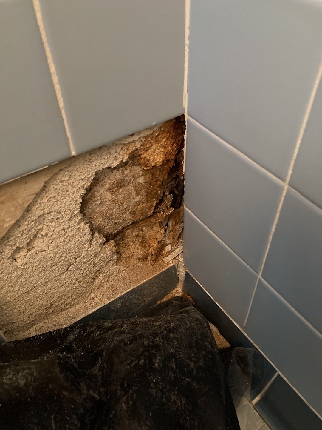 Water Damage Repair by Accountable Home Services