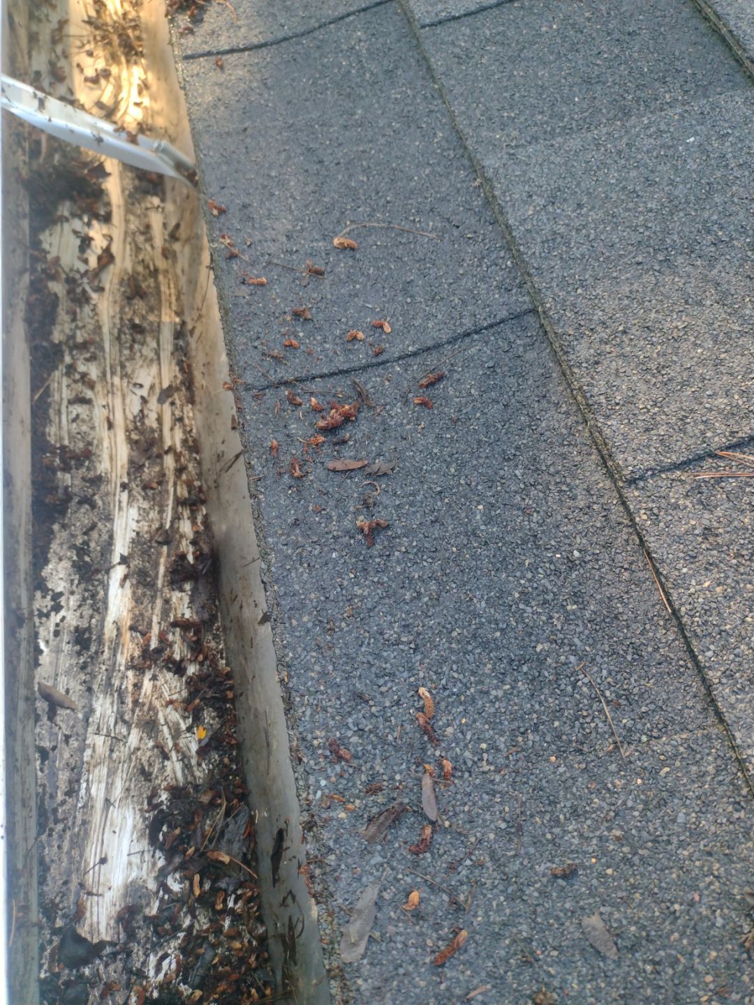 Commercial gutter cleaning Springfield, MI after photo with clean gutters