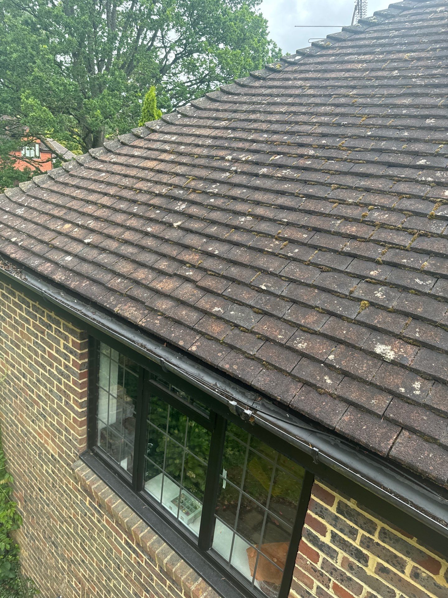 Roof Clean and Biocide Treatment using Honda 15lpm Low Pressure Washing Machine by Ges Exterior Cleaning ltd