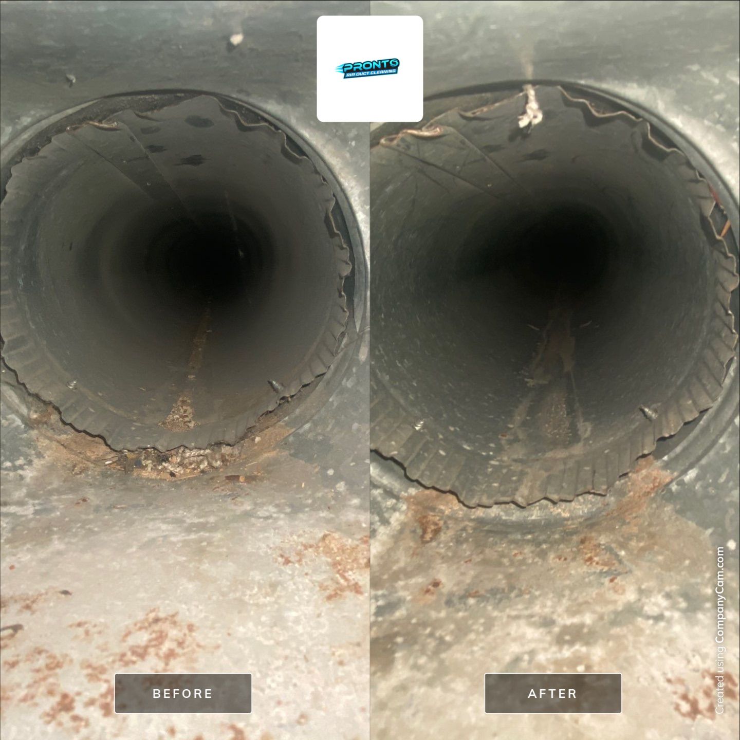 Air Duct Cleaning Manassas VA by Pronto Air Duct Cleaning