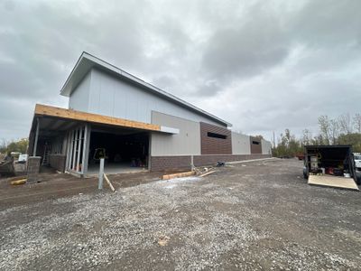 Aldi Project