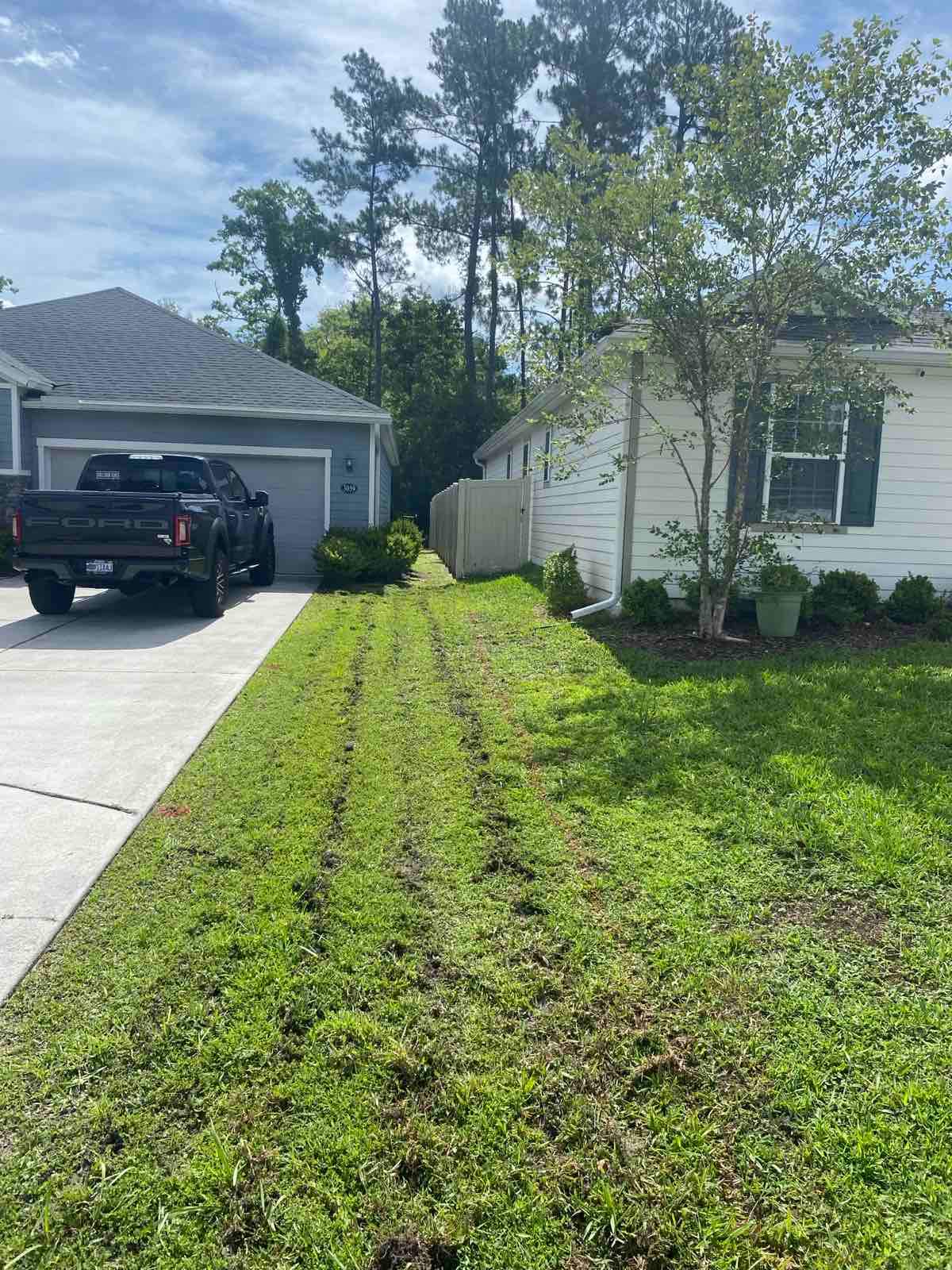 Sod Installation | Southside Jacksonville by ProGreen Services