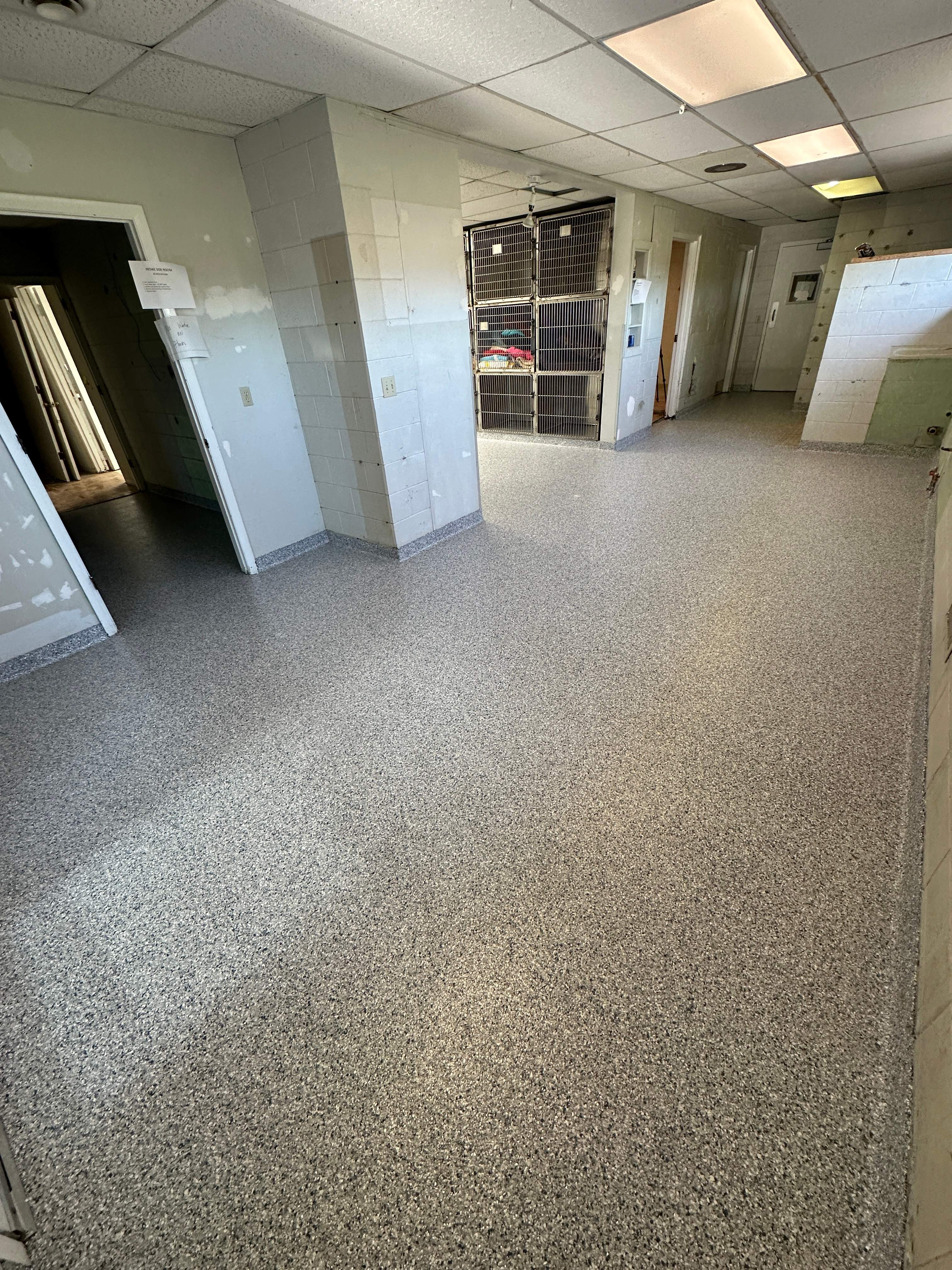 Steamboat Canine Shelter Normal by Loud Bros