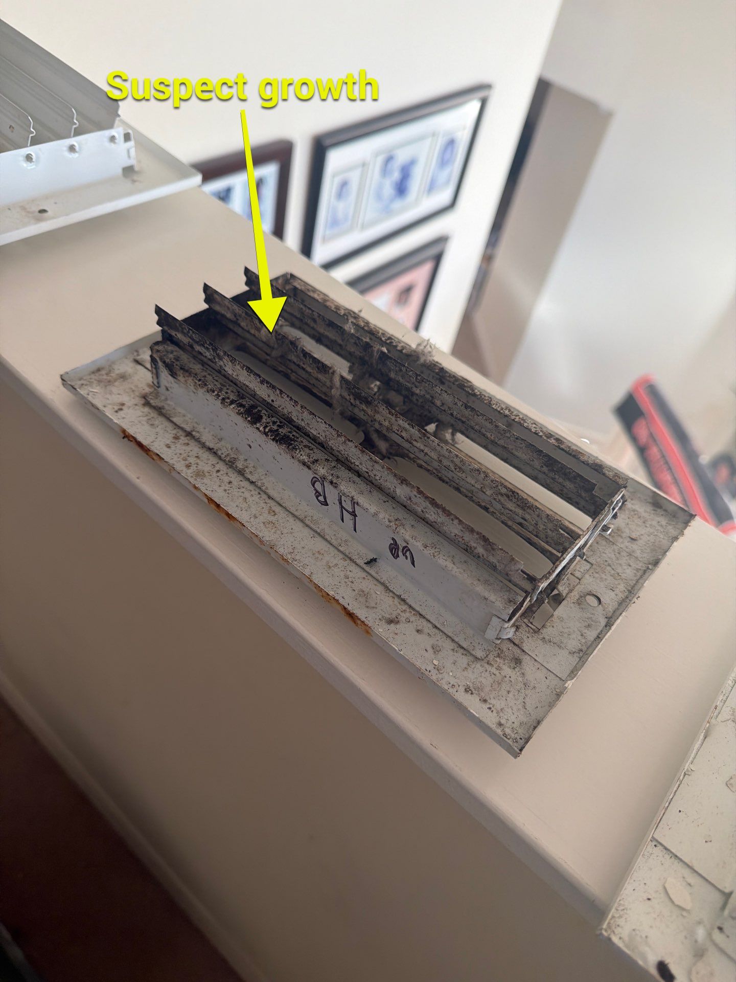 Air Duct Cleaning Encapsulation in Orlando by Hygienic Air, Inc