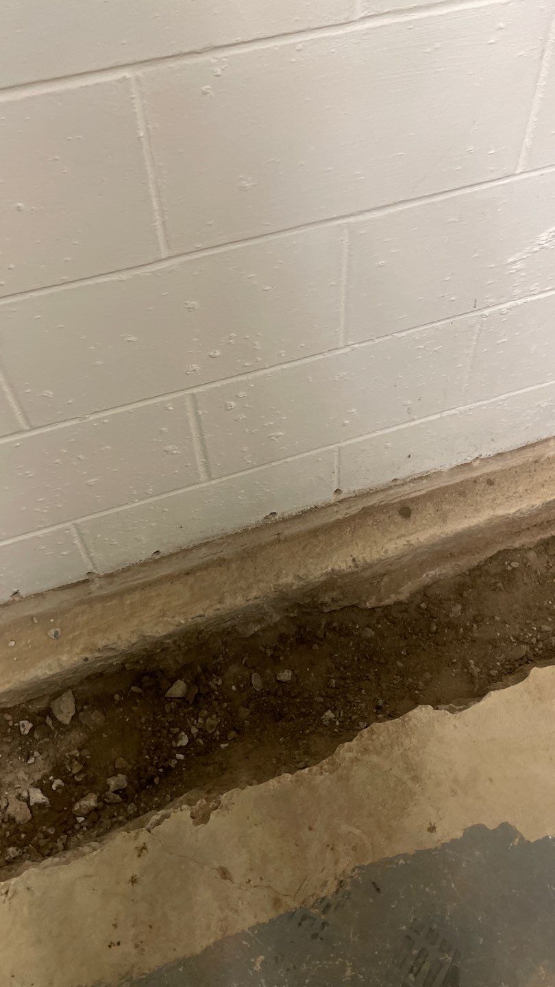 Elliot's New Brighton Remodel by Waterproofing Northeast