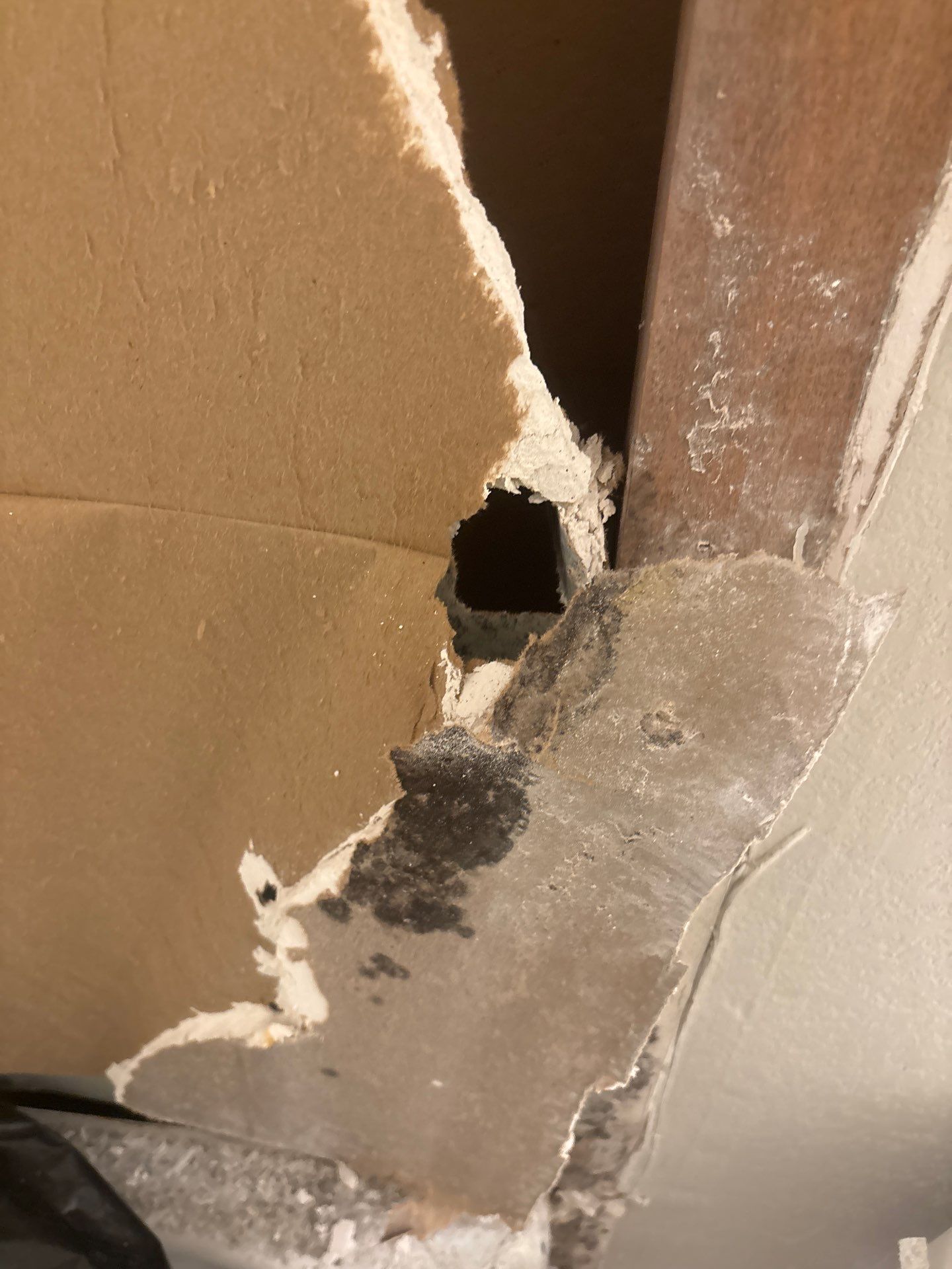 Water Damage Mitigation by All Dry Services of North Austin