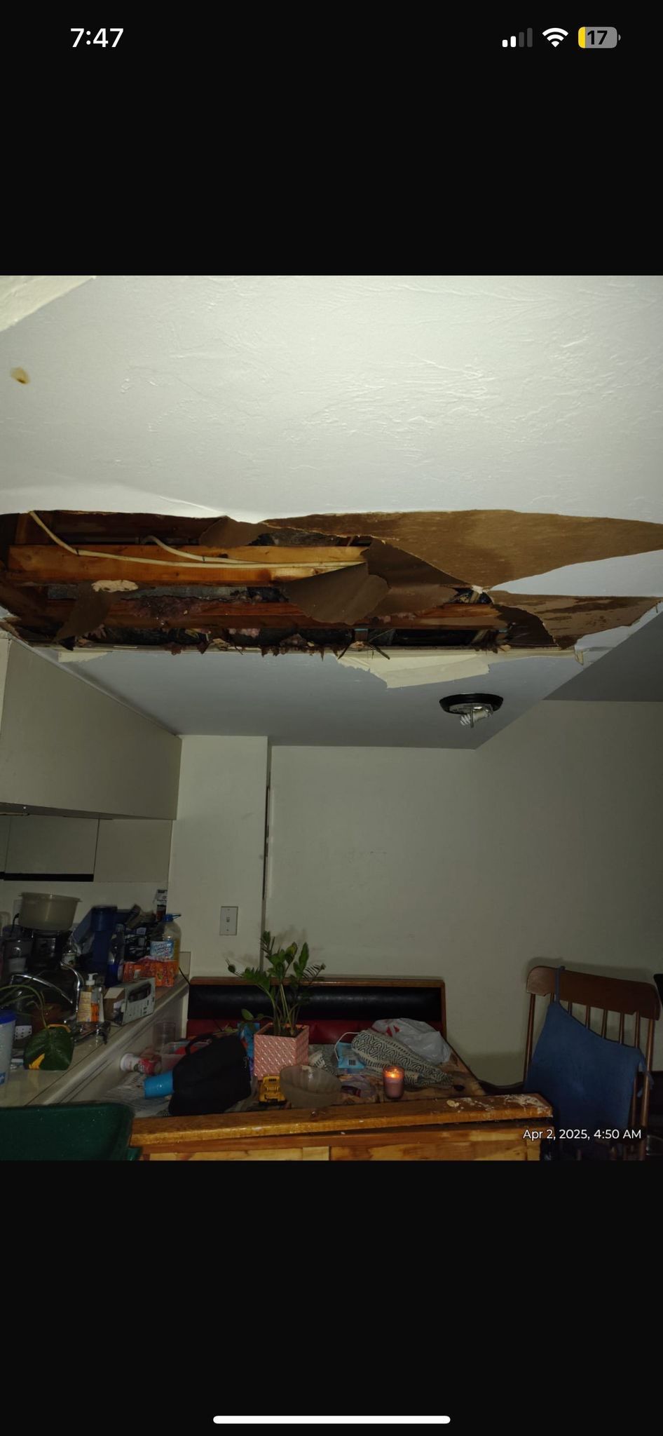 Cape Coral Water Damage Restoration by Ampm Restoration Services