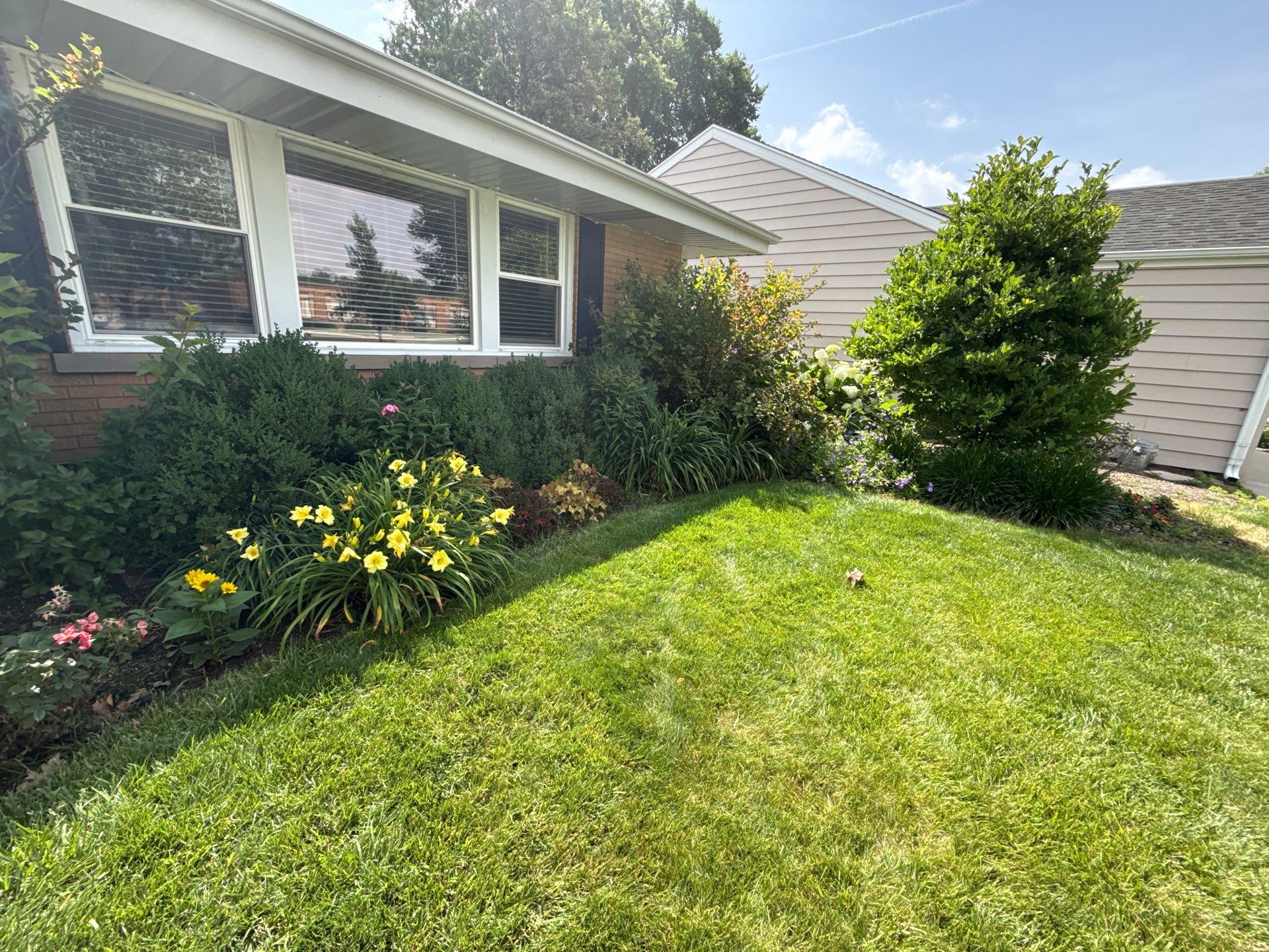 Cheris B. - Mount Prospect, IL by A&N 