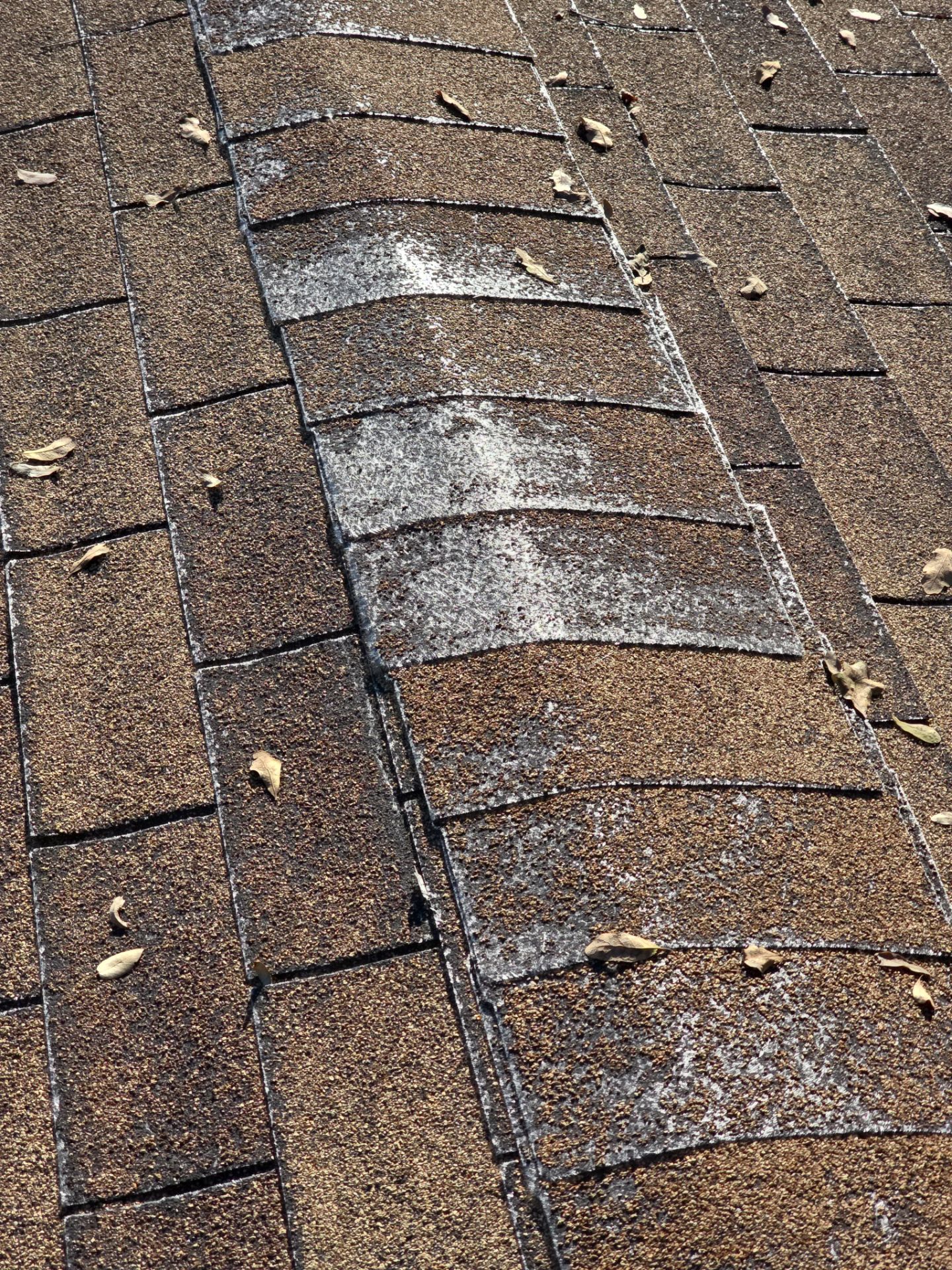 Roof Rejuvenation using Roof Maxx Treatment by Roof Maxx of Folsom