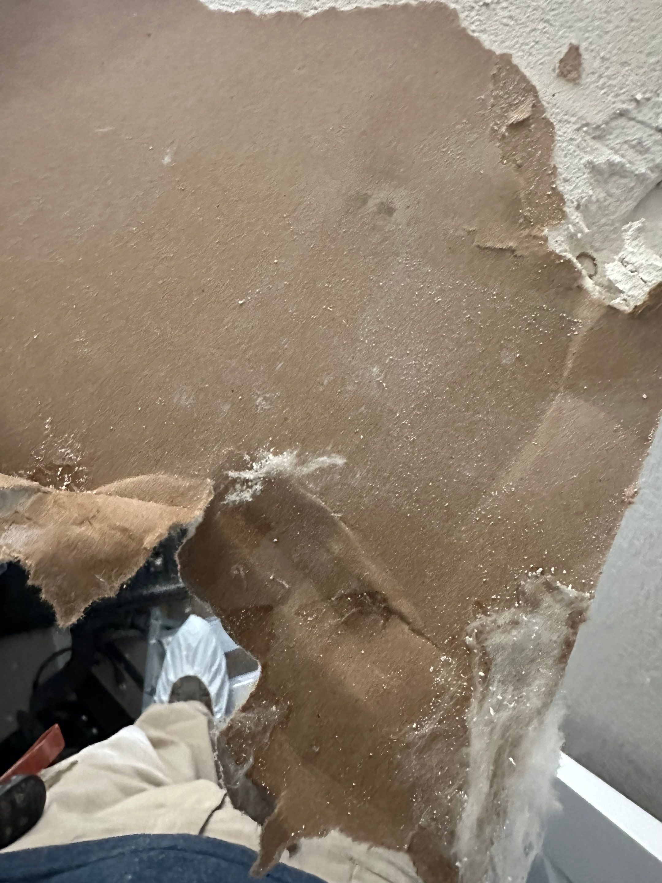 Mold Remediation in Denver, CO by Alpha Restoration 