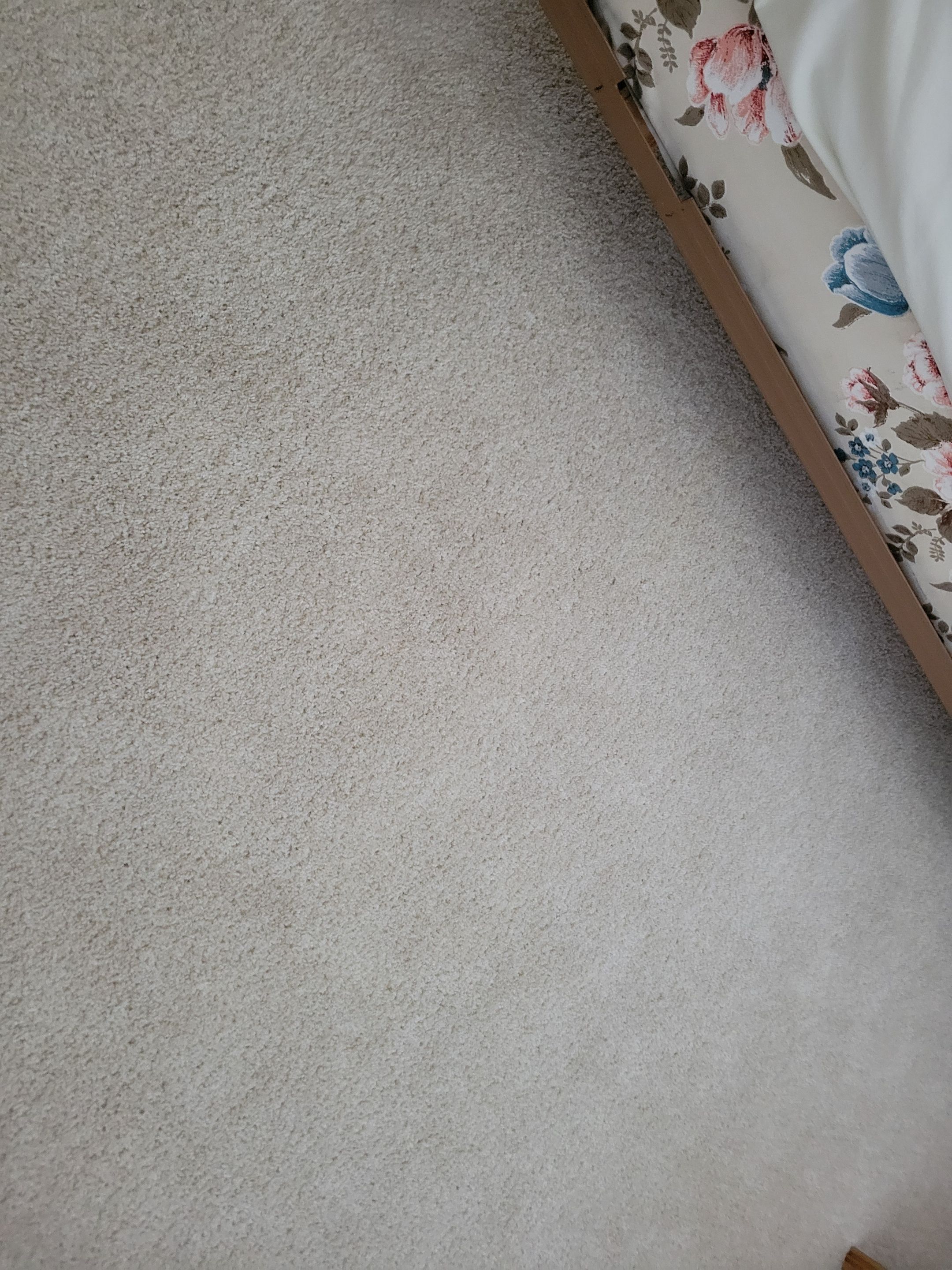 Investment Property, Carpet Cleaning by Ardent Carpet Restore LLC