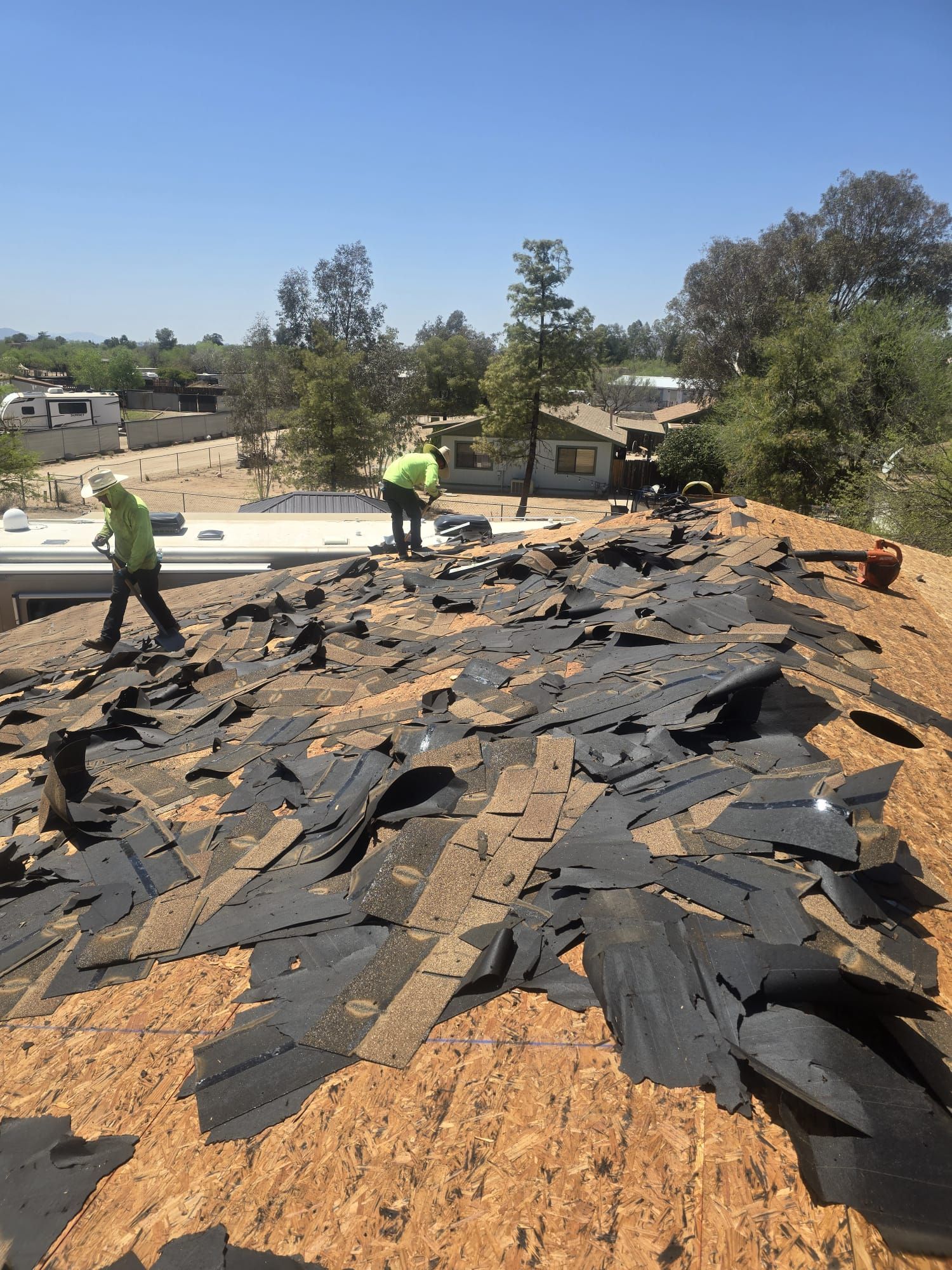 Silver Birch Shingles by Reimagine Roofing