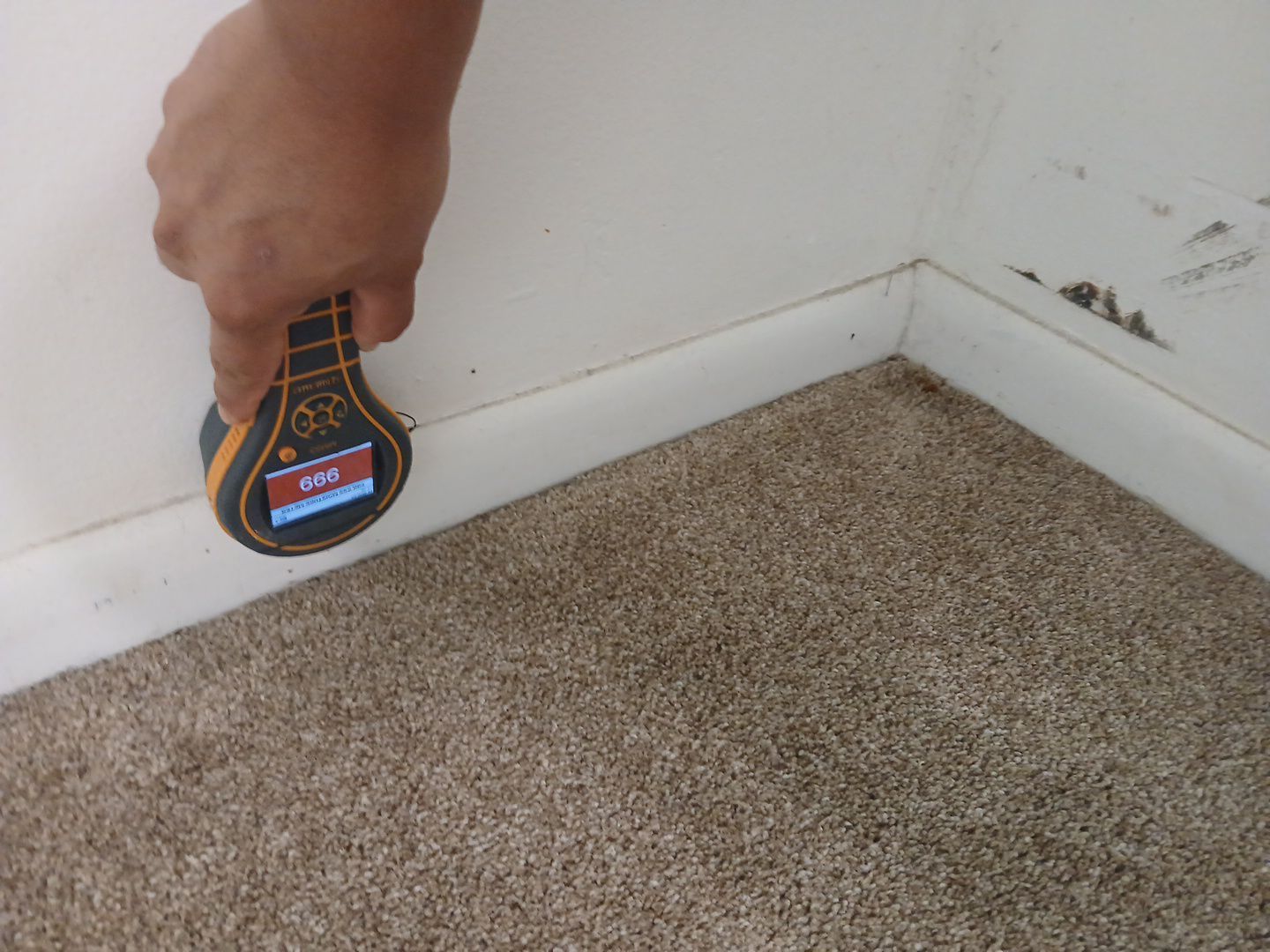 Water Damage Assessment and Moisture Detection in Fort Pierce by SuperClean 