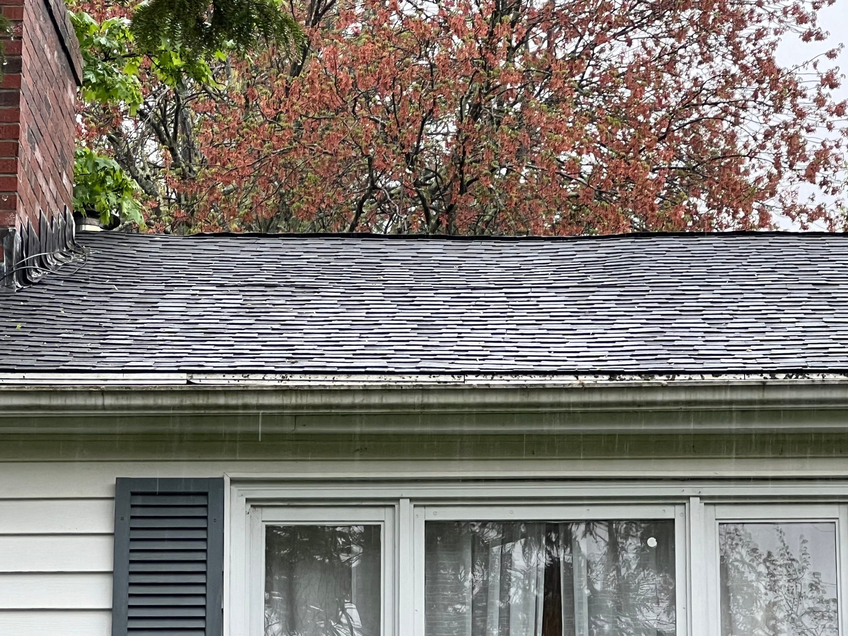 Gutters & Roofing | Acton by Mighty Dog Roofing of Greater Middlesex County