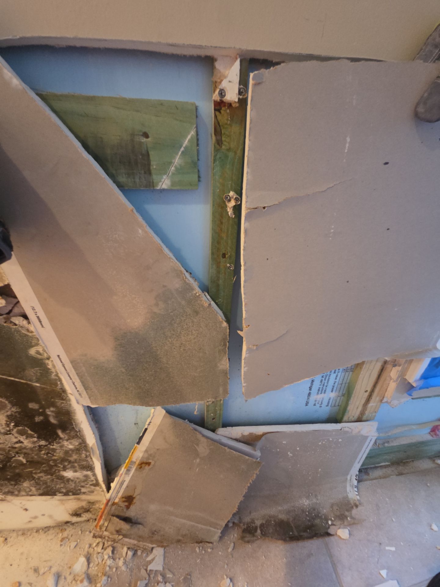 Fort Myers Water Damage Restoration and Professional Mold Remediation by Microscope