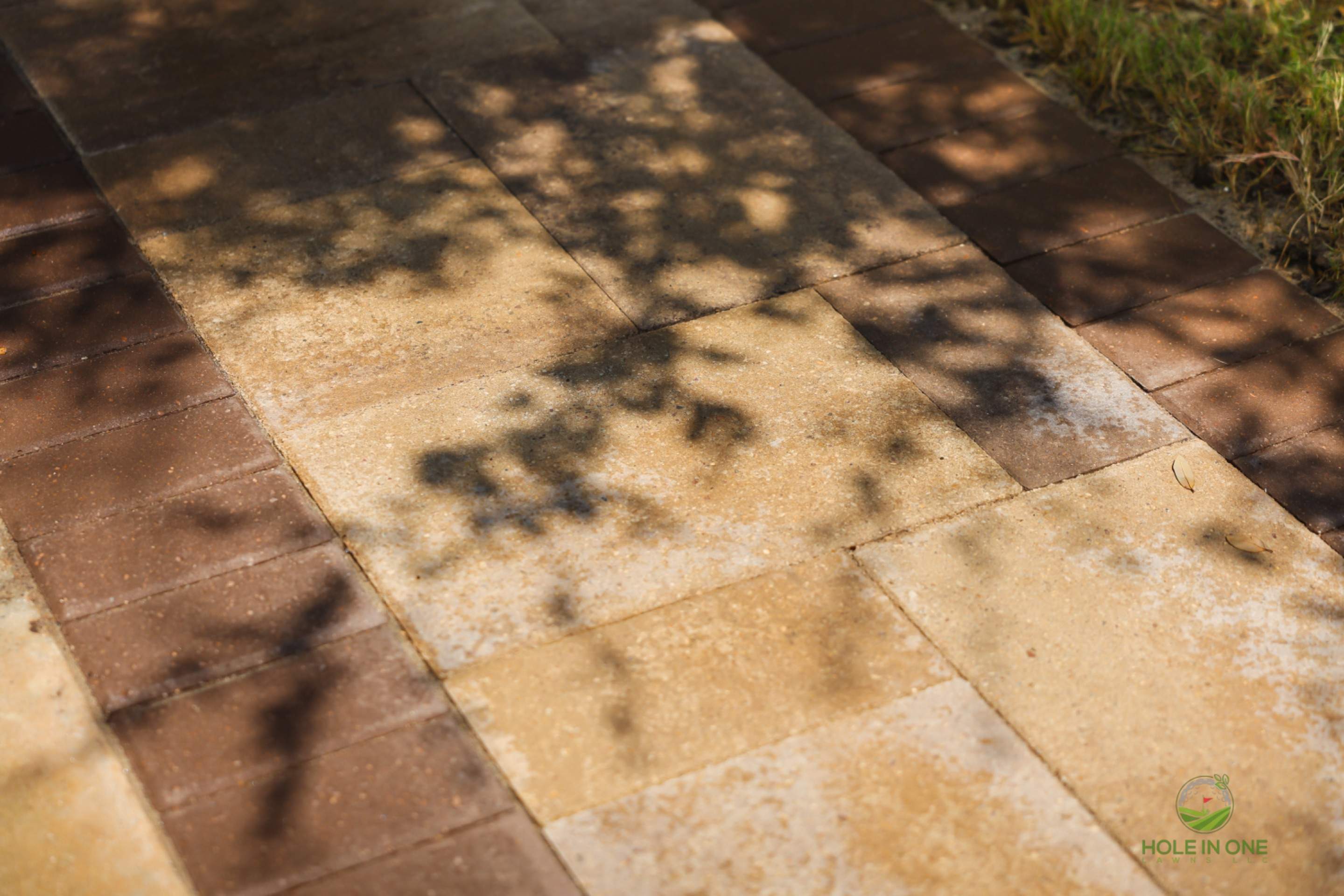Wortham Oaks, San Antonio Tx. by Hole In One Lawns, LLC