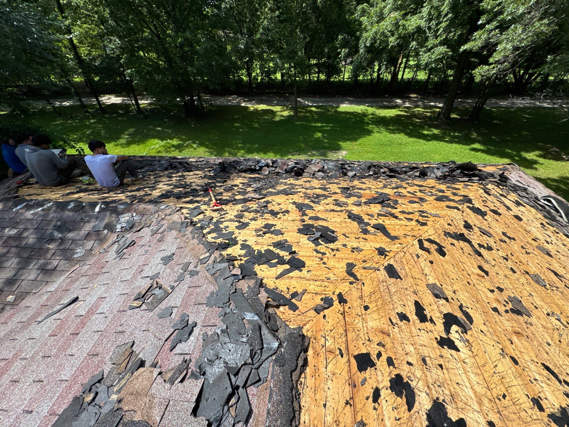 Residential Roofing Install - Atlas Pinnacle Pristine Shingles - Color Morning Harvest  by Titan Commercial & Residential Roofing 