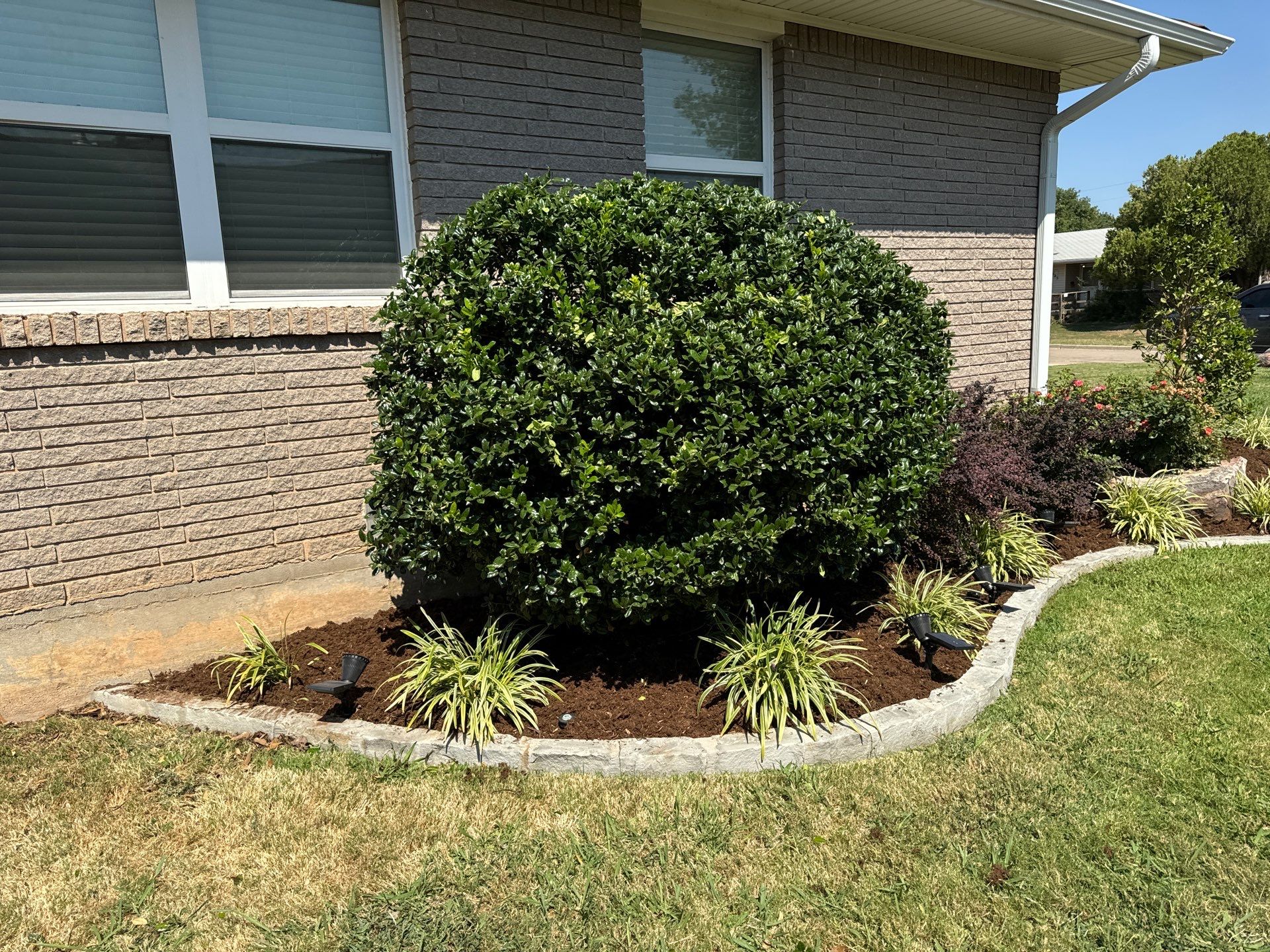 Landscape using Crepe Myrtle Plant by Clays Services Inc