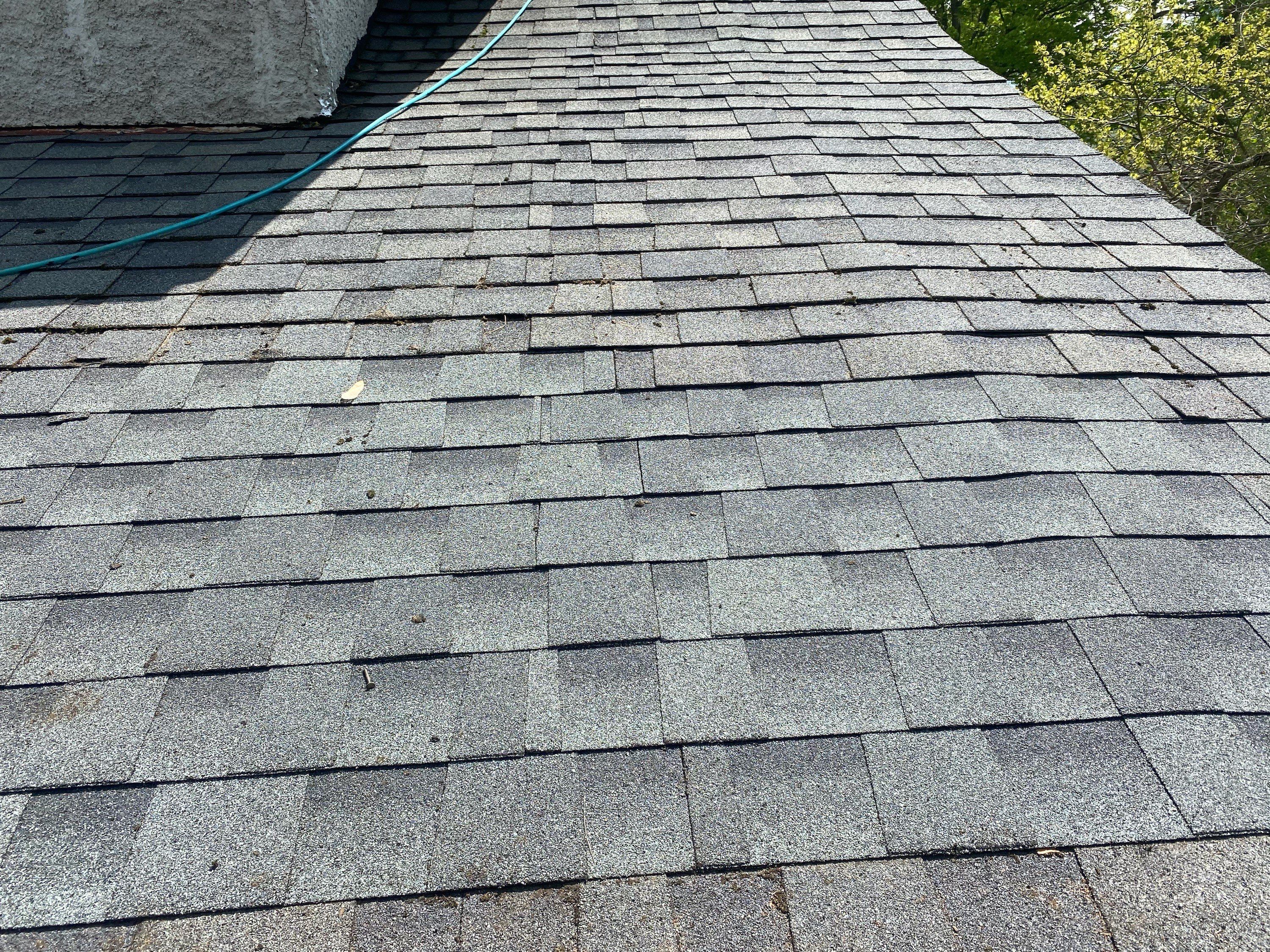 Michelle Putnam  by Silver Leaf Contracting 