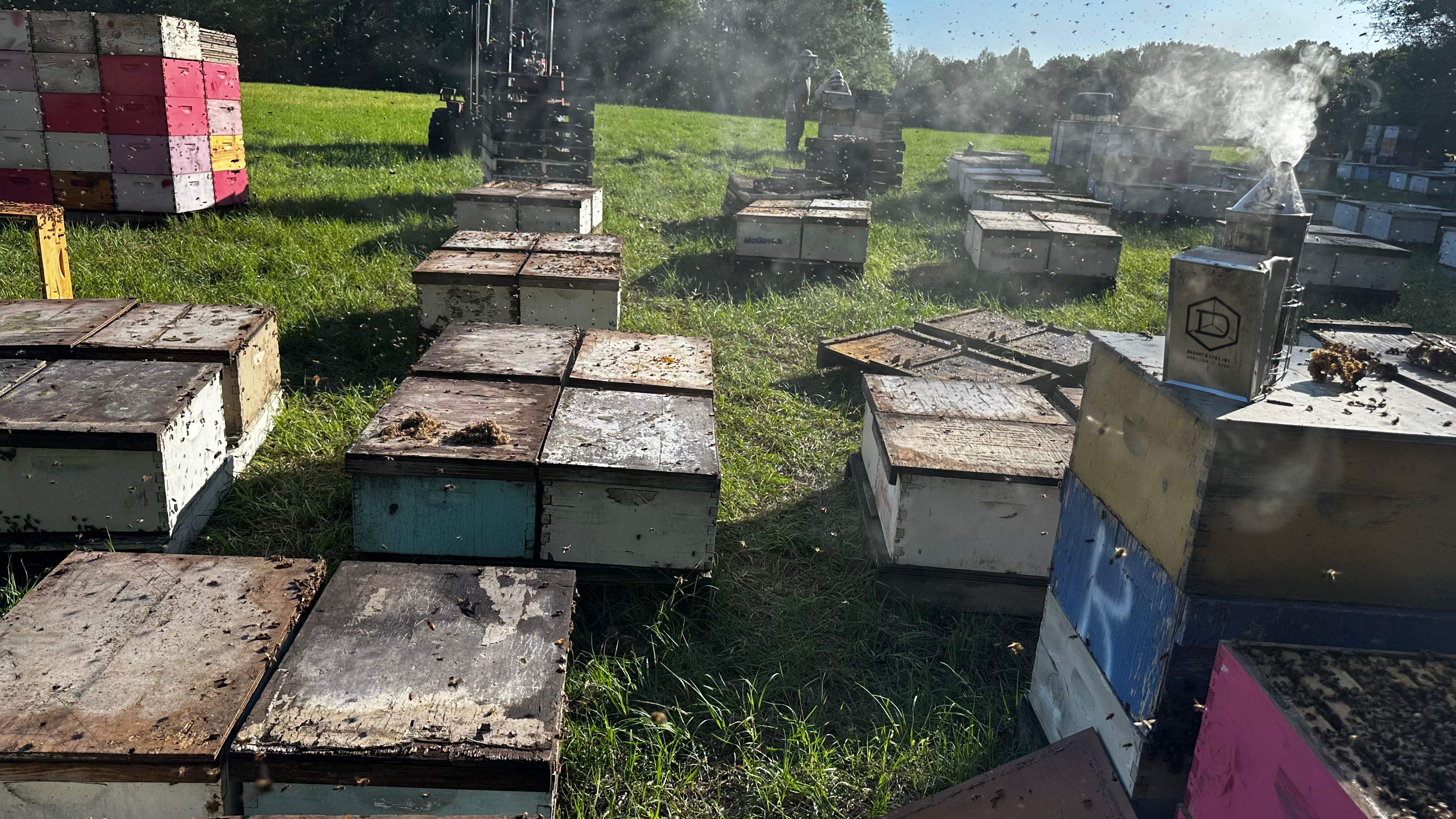 Traylor's Hay Meadow Apiary by Rockwall Honey Bee Company