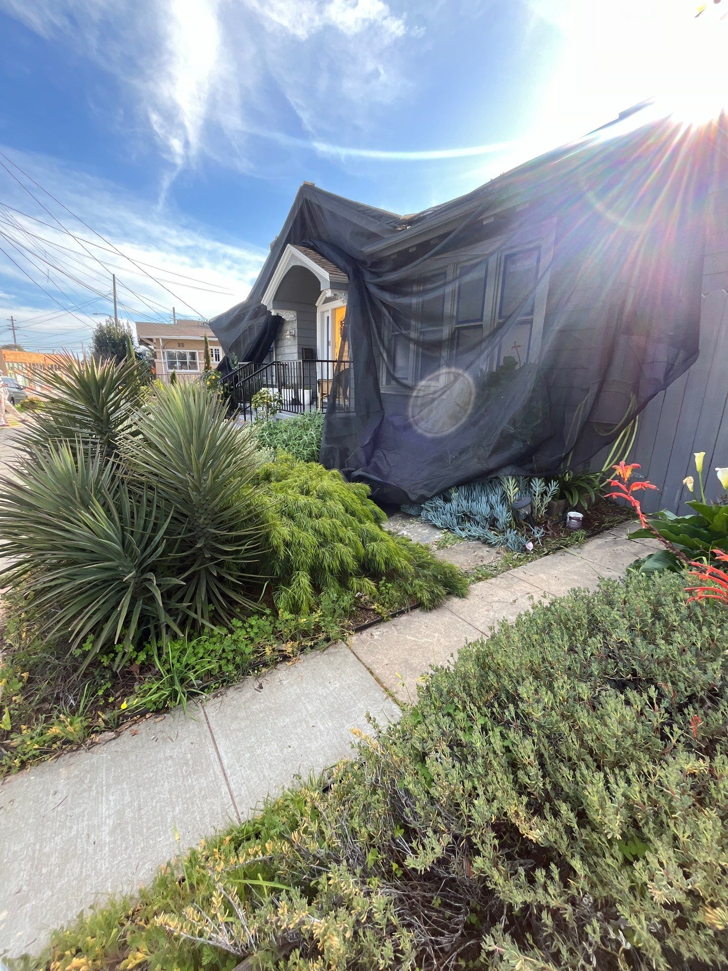Project in Oakland by Herrera’s Bay Area Painting inc.