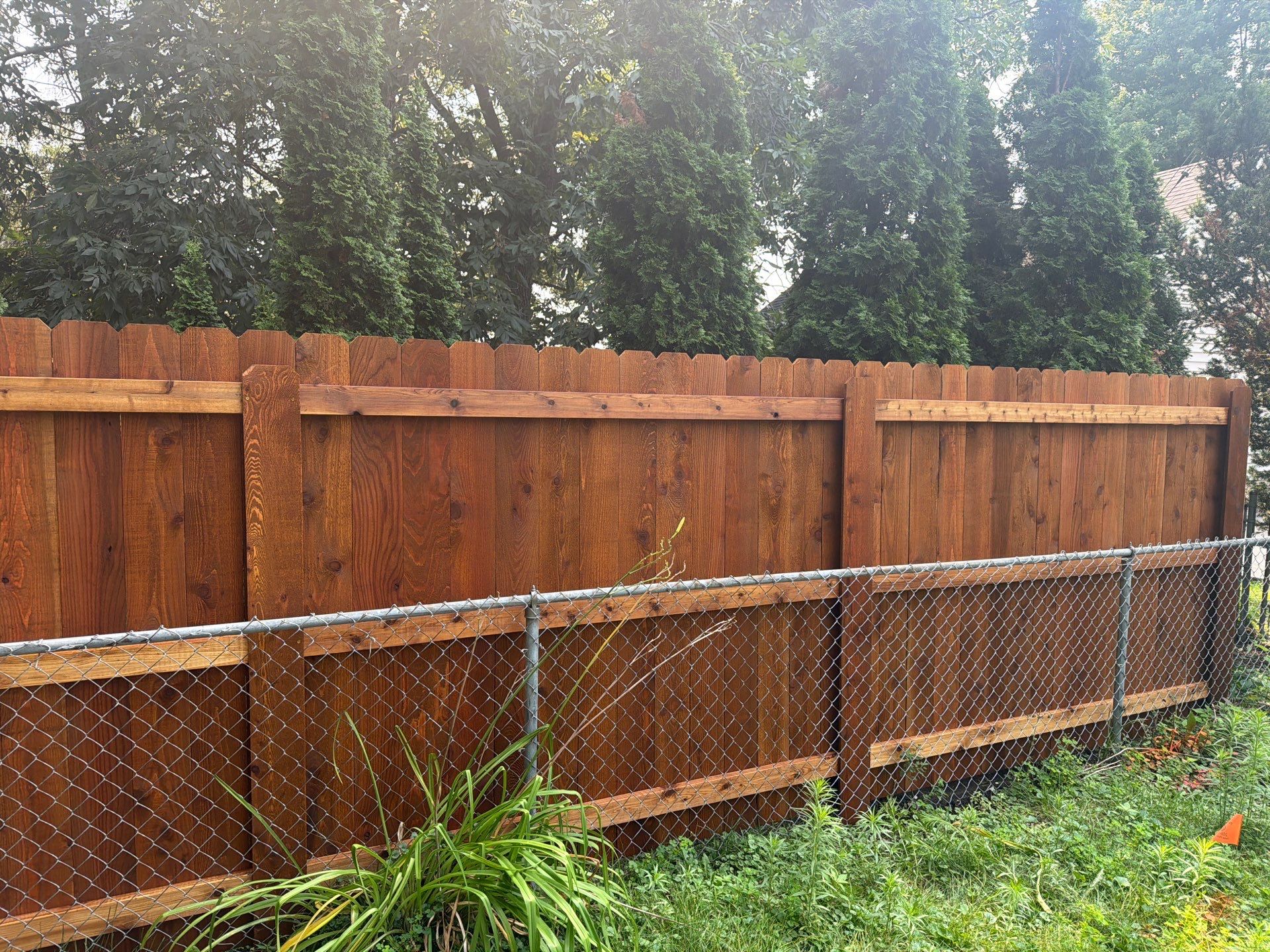 Pecan Cedar Privacy Fence Installation with Scalloped Top in Cedar Falls by Perfect Picket Fence and Stain