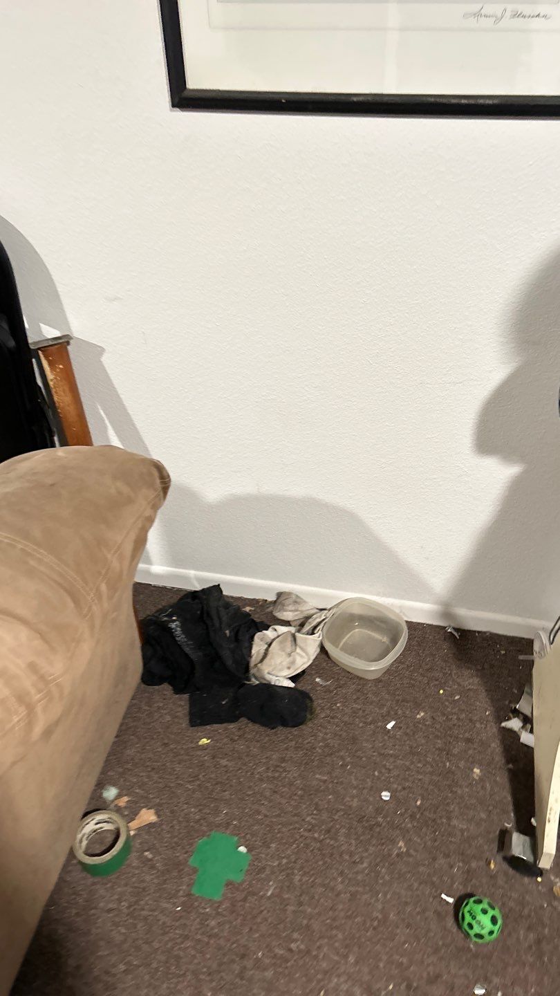 Water Damage by Accountable Home Services