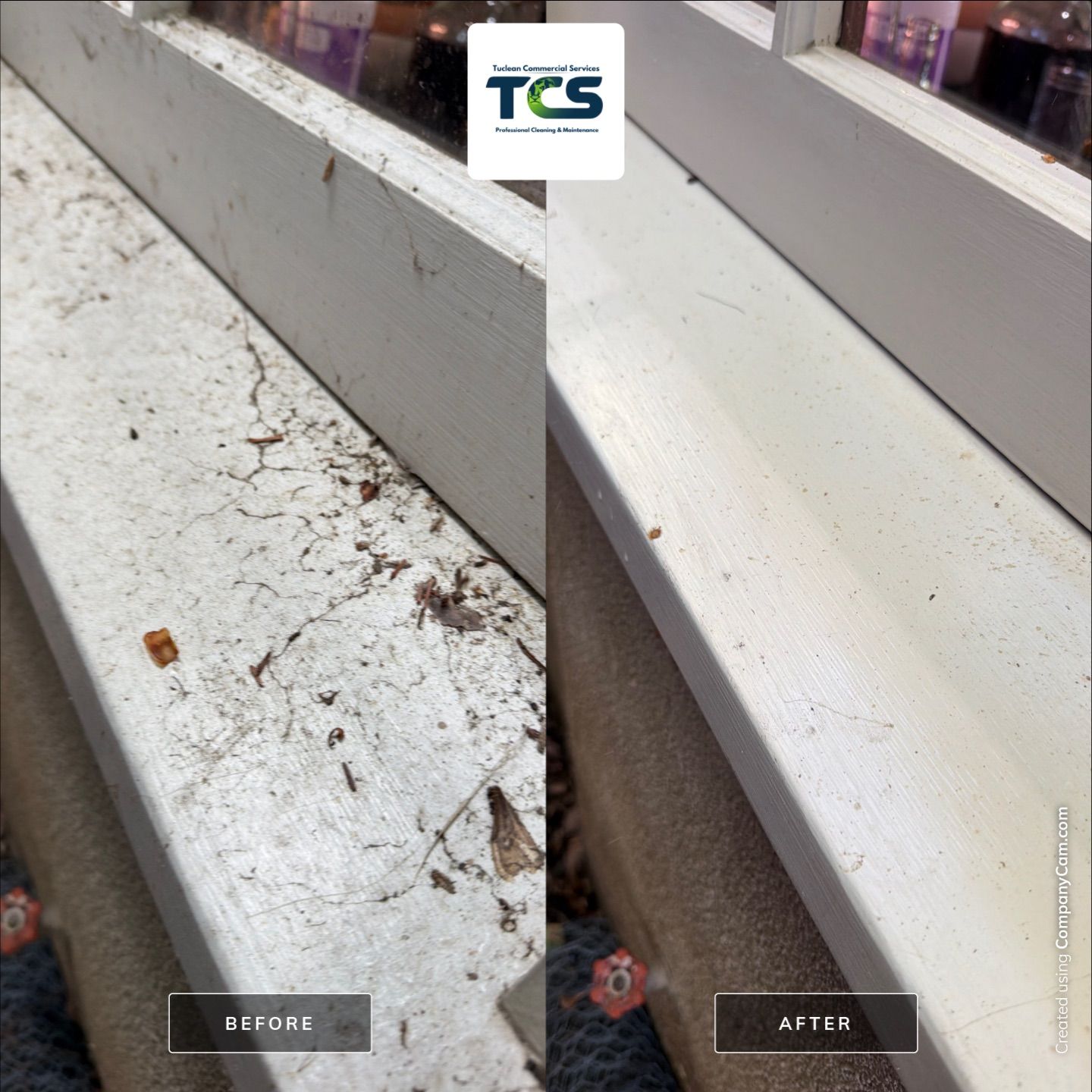 Project in Oakland by Tuclean Commercial Services 