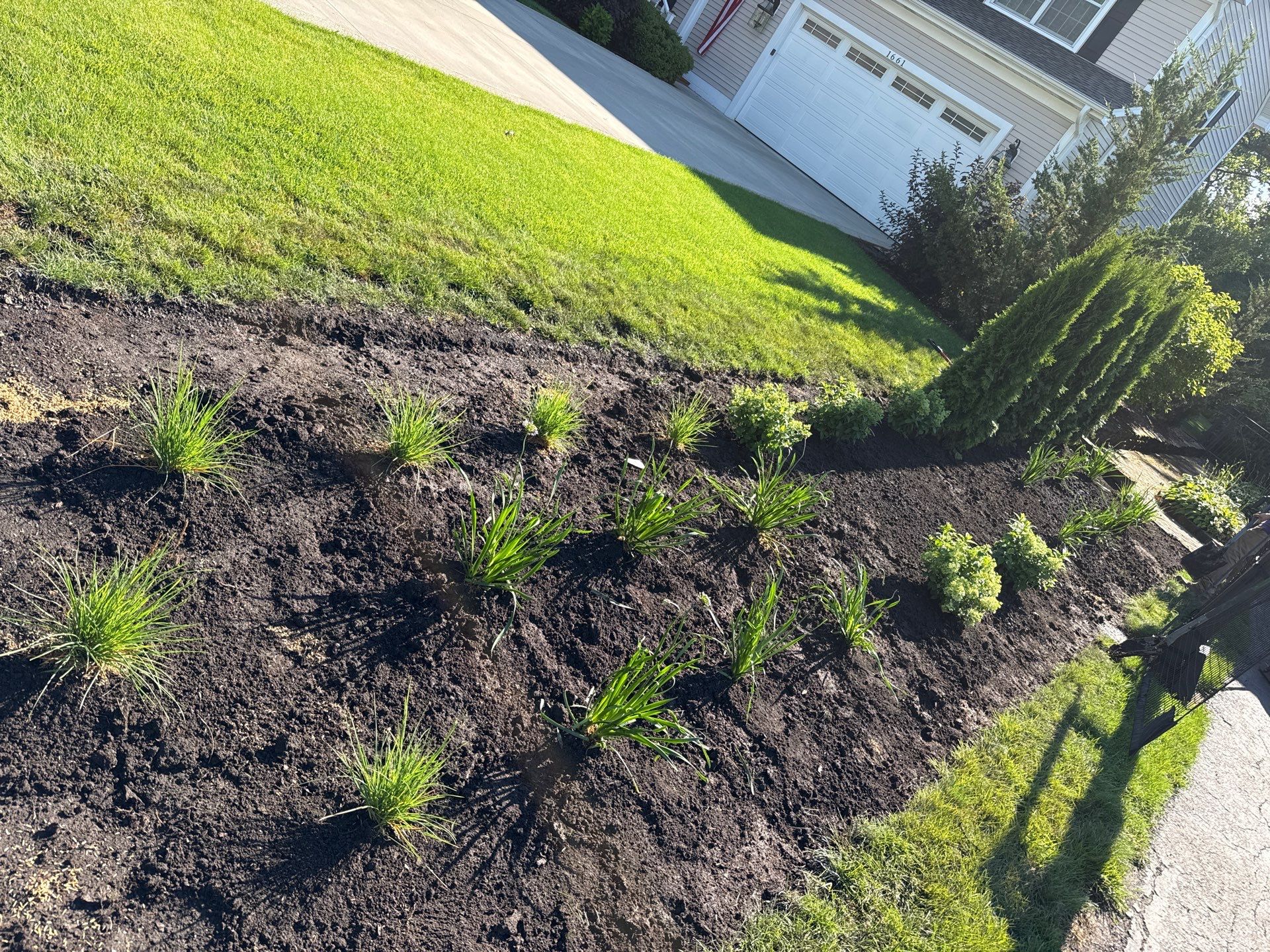 Anne P. - Arlington Heights, IL by A&N 