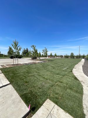 Project in Lodi