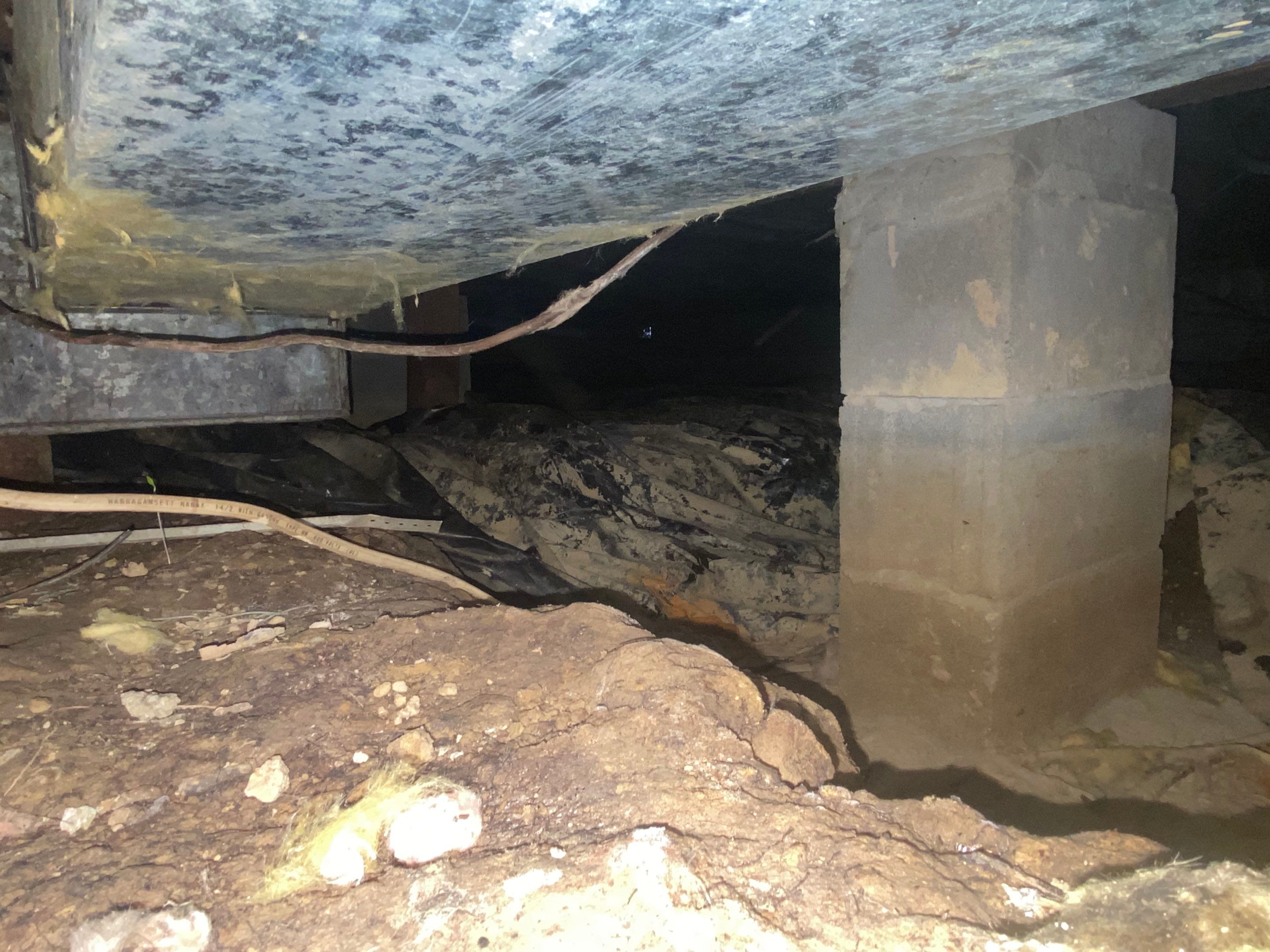 Ogle crawlspace by The Property Doctor, LLC