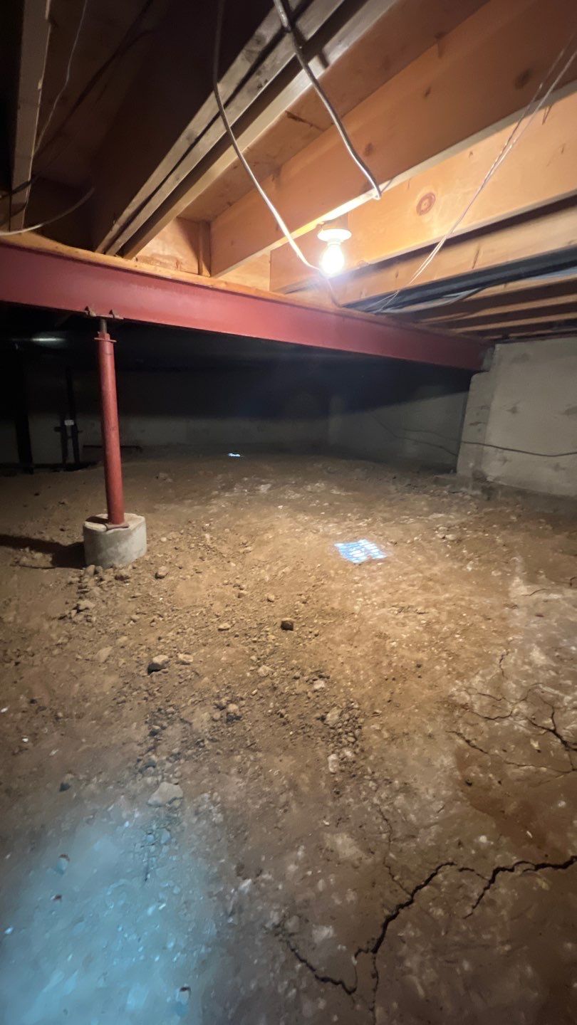 Mold Damage by Accountable Home Services