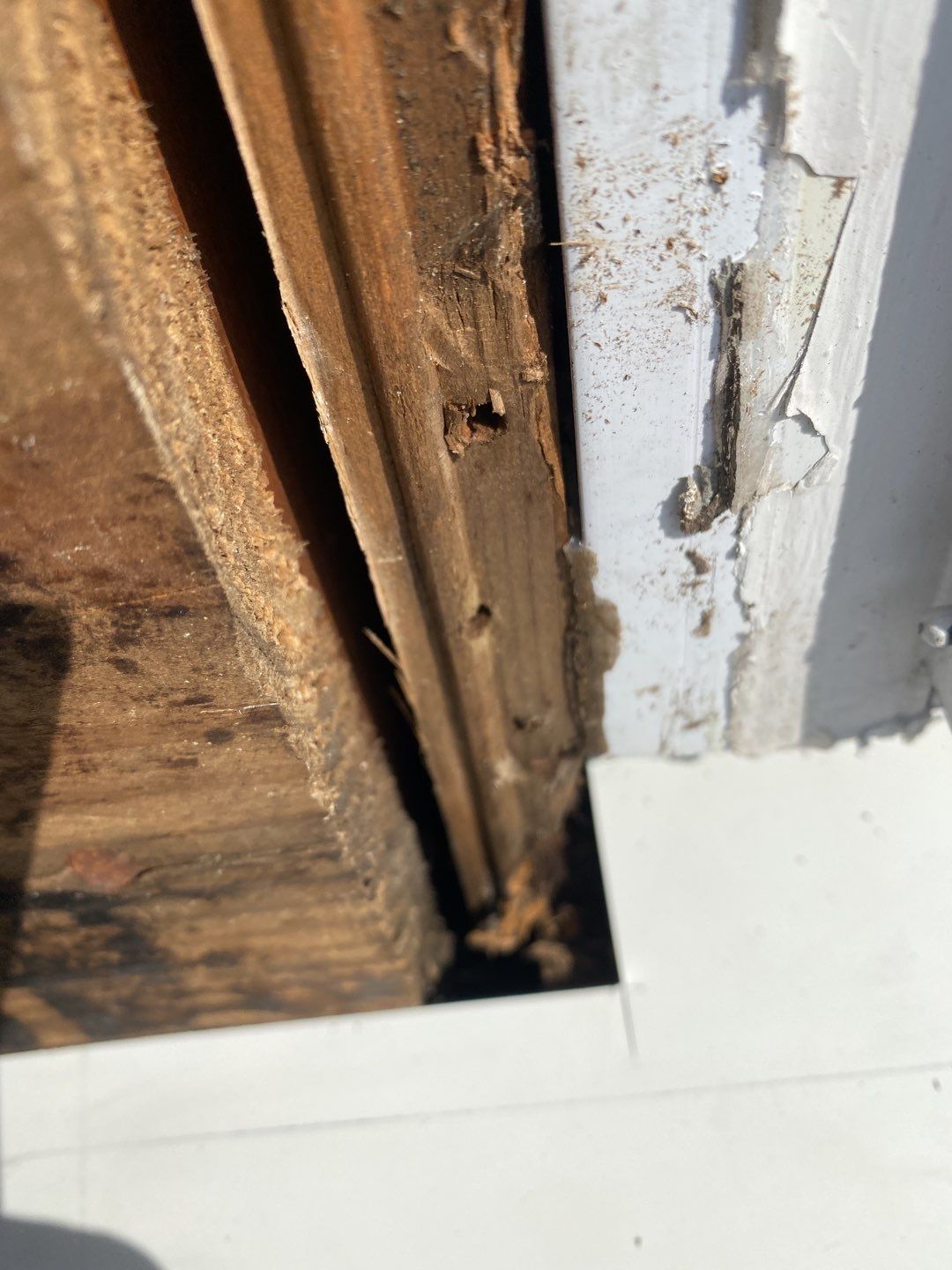 Siding Repair using Wood Siding by A Plus Exterior