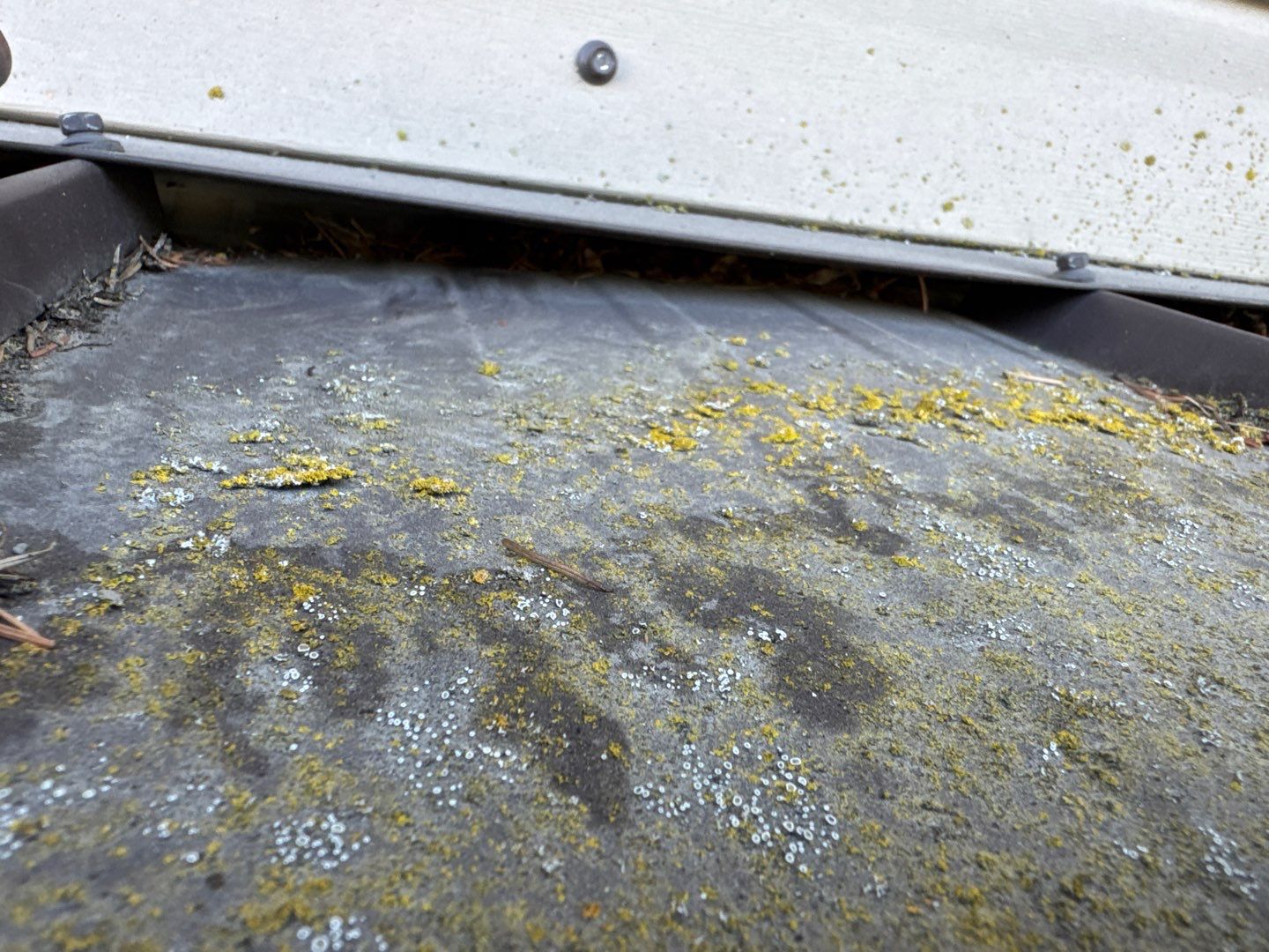 Residential Reroof Shingle - Barkwood by Top Notch Roofing Inc