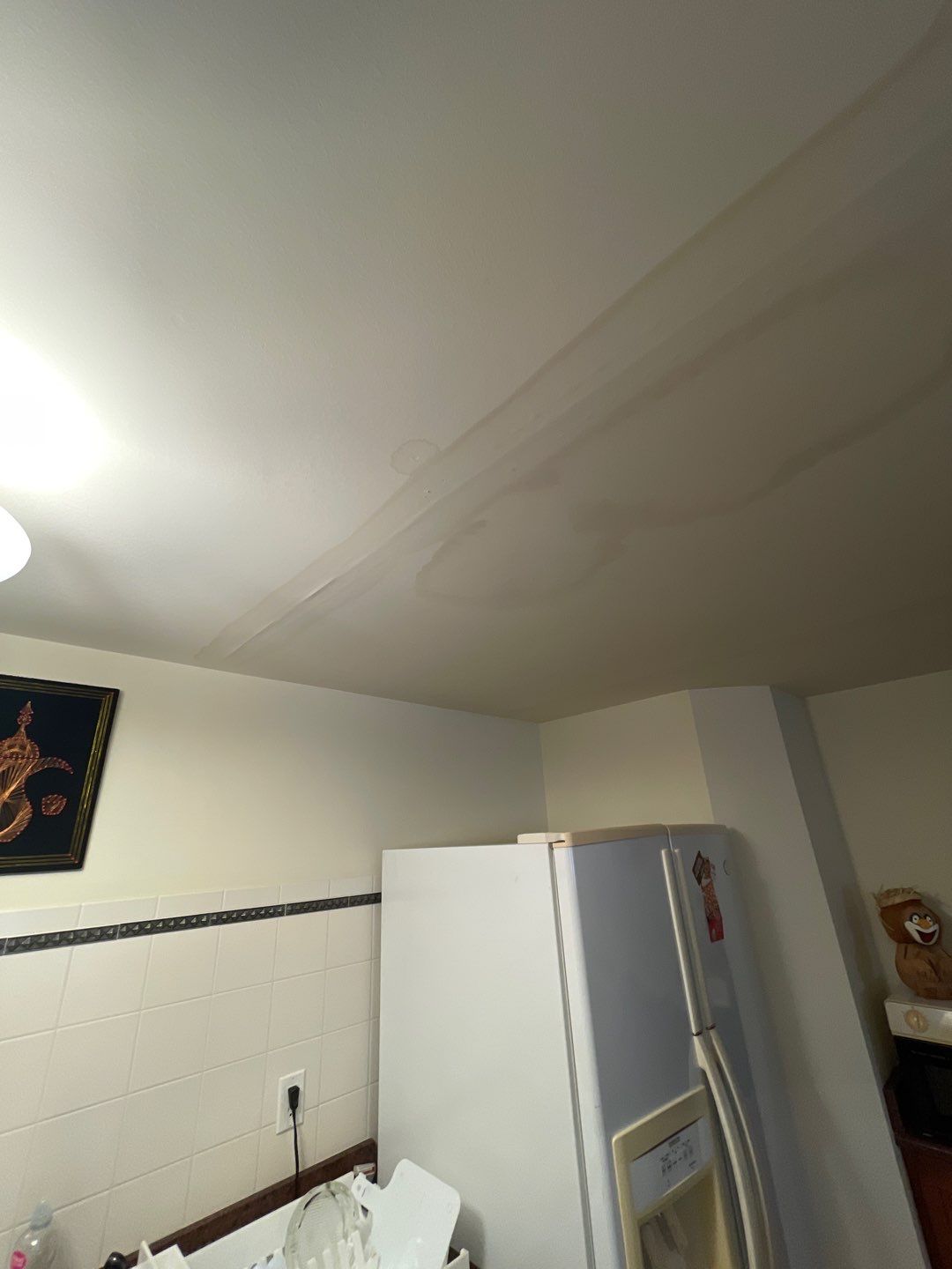 Project in Novi by EzDry Water Mitigation & Property Restoration