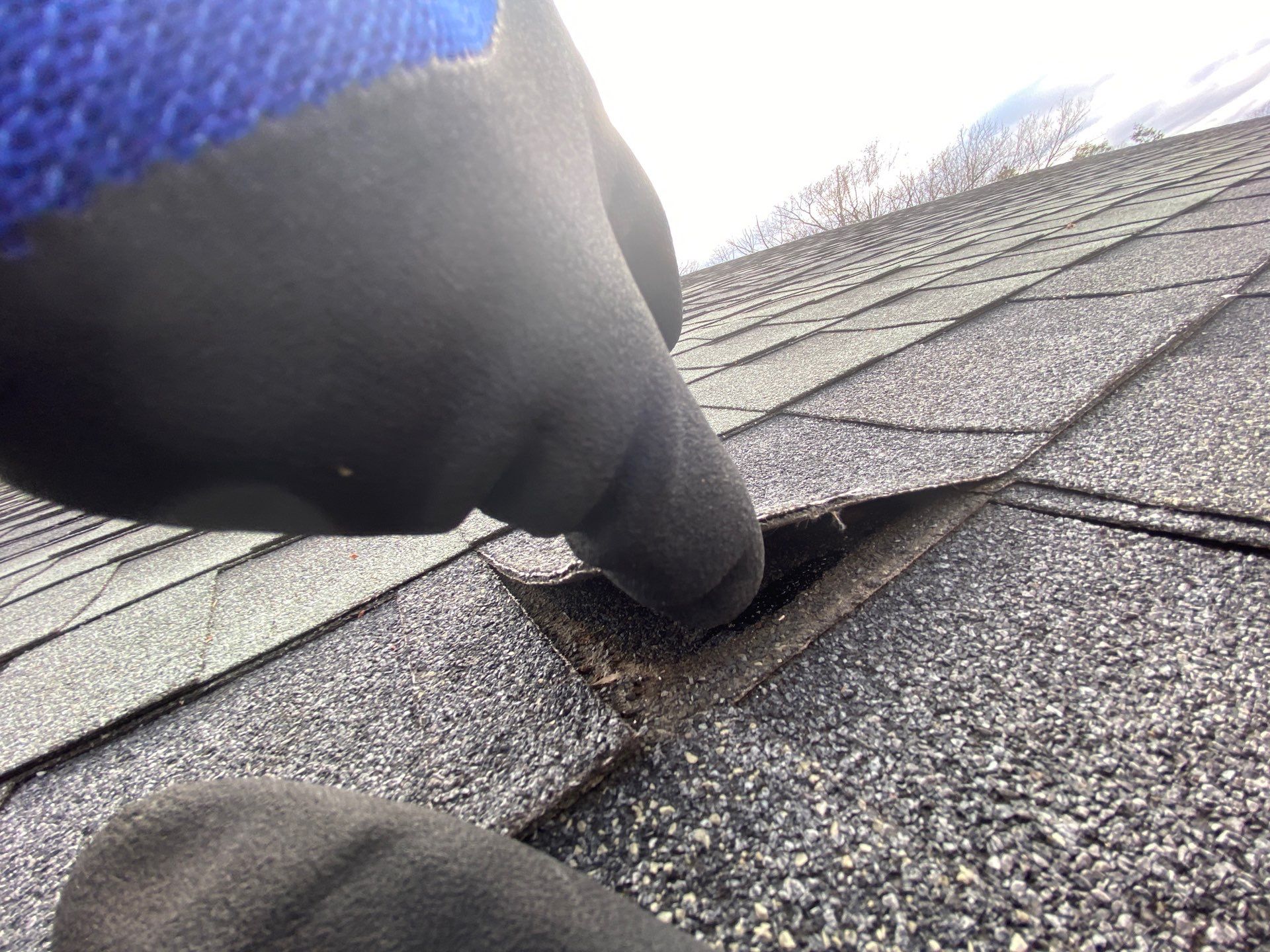 Roofing & Gutters | Lawrence by Mighty Dog Roofing of Greater Middlesex County