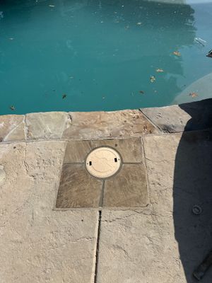 Newark Skimmer