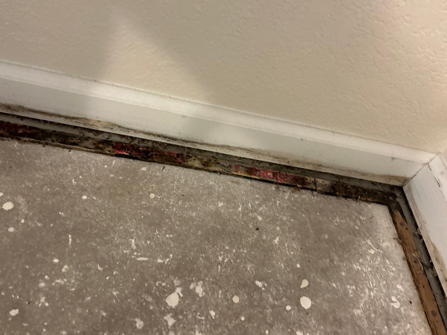 Mold Damage Project in Thornton by Accountable Home Services