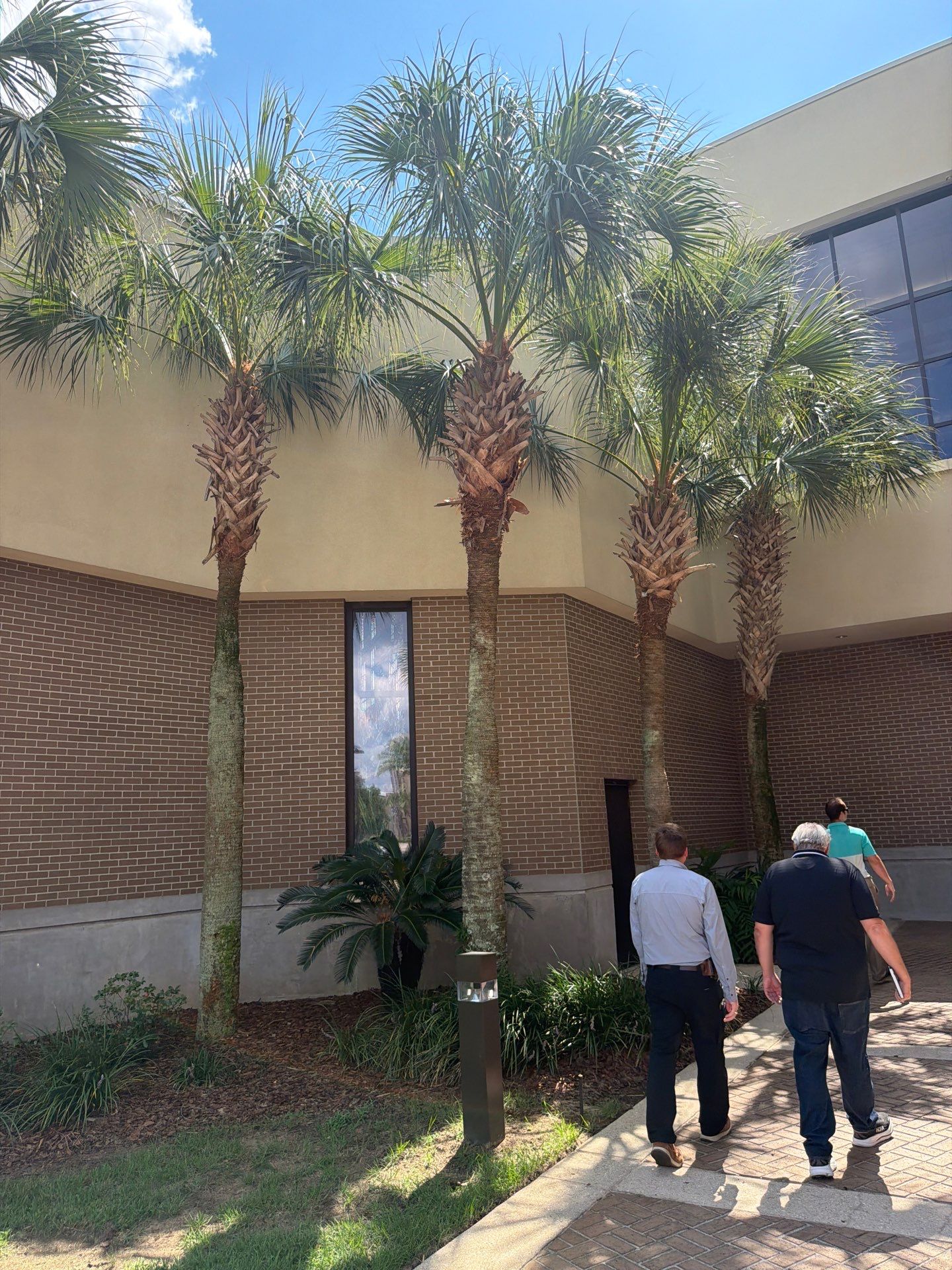 PCC Crowne Center Exterior Wall Repairs Pensacola, Fl by US Roofing Systems